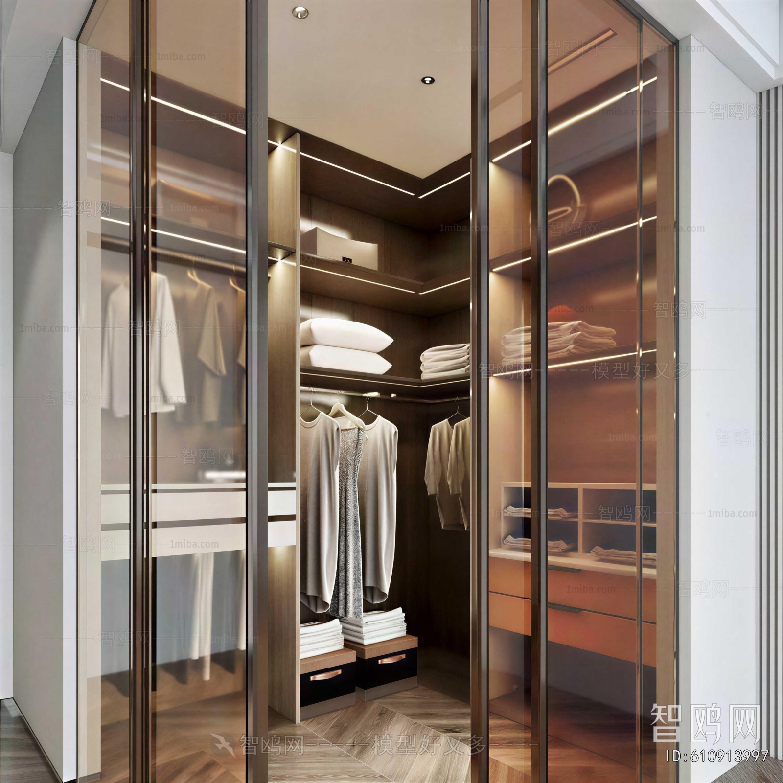 Modern Clothes Storage Area