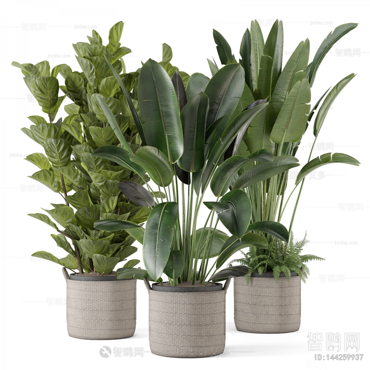Modern Ground Green Plant Potted Plants