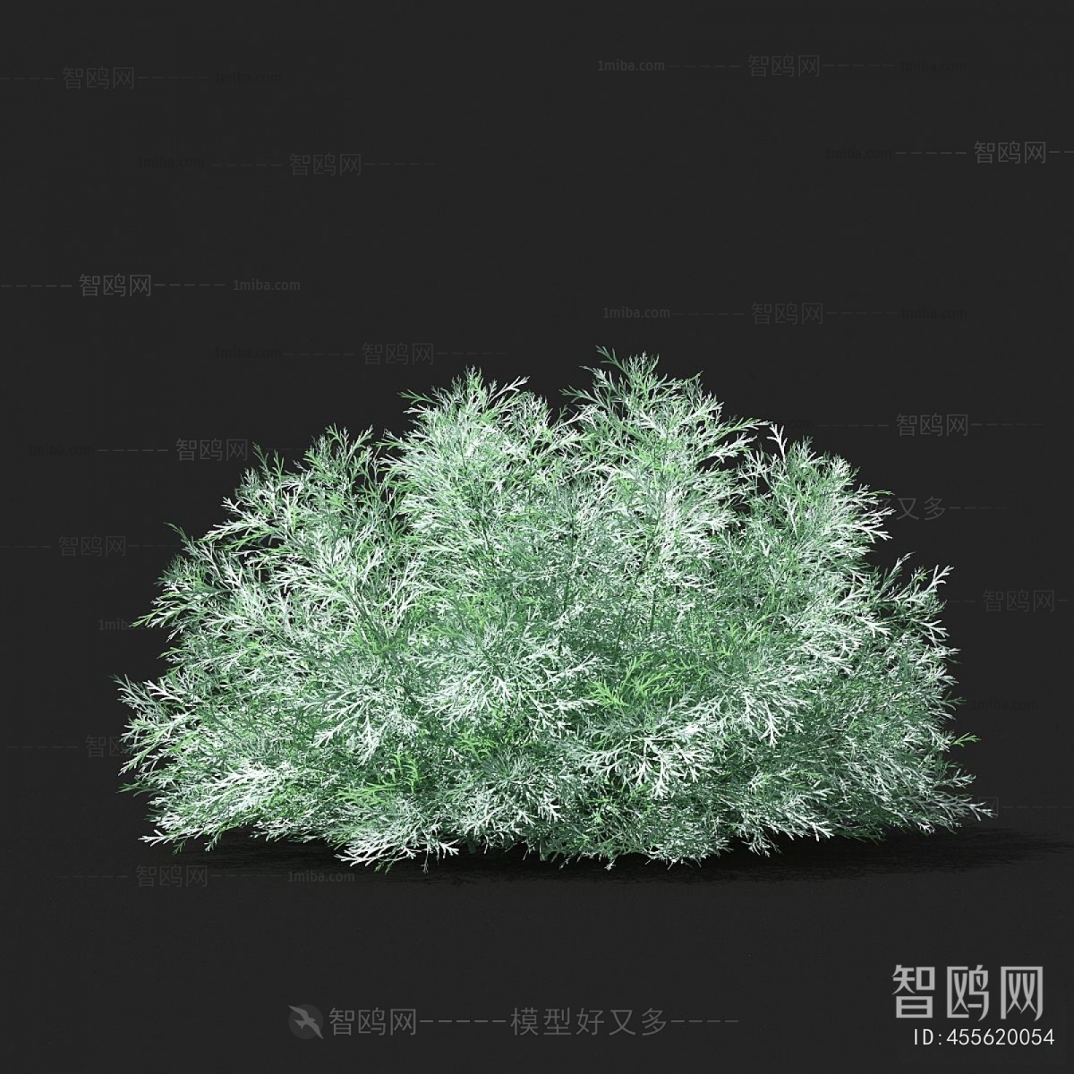 Modern Flowers And Grass