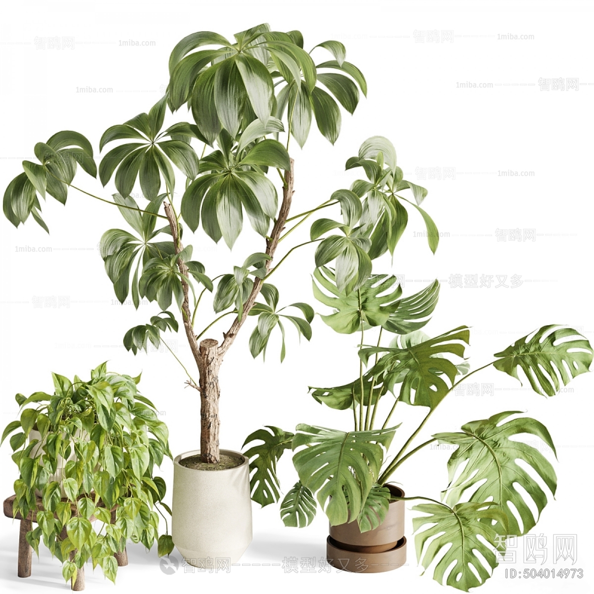 Modern Ground Green Plant Potted Plants