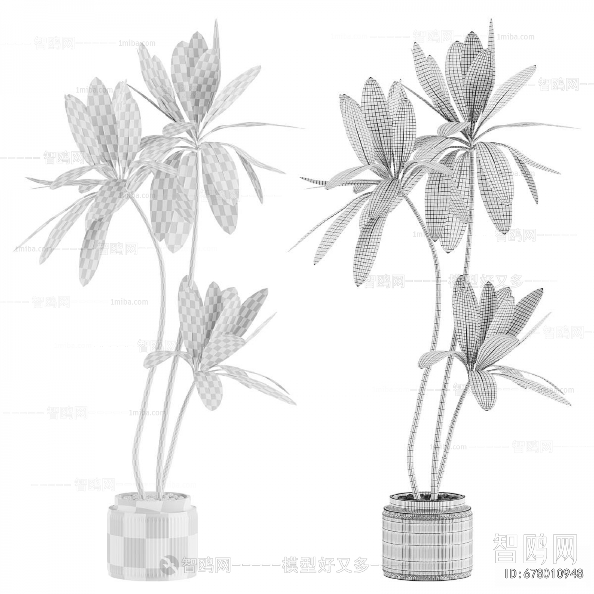 Modern Potted Green Plant