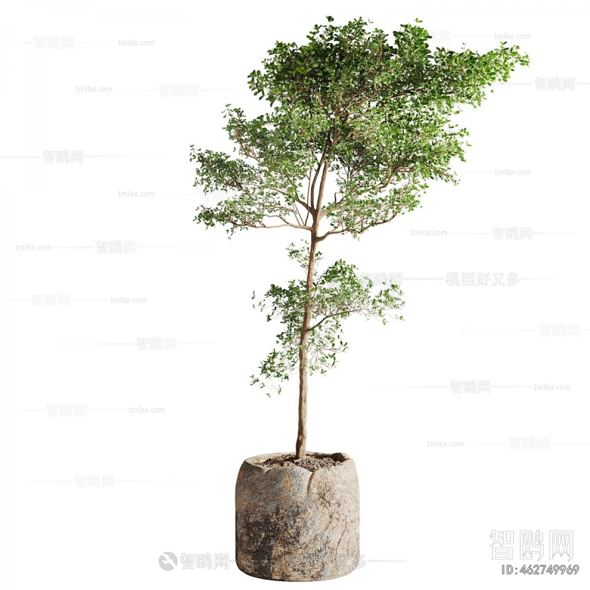 Modern Ground Green Plant Potted Plants