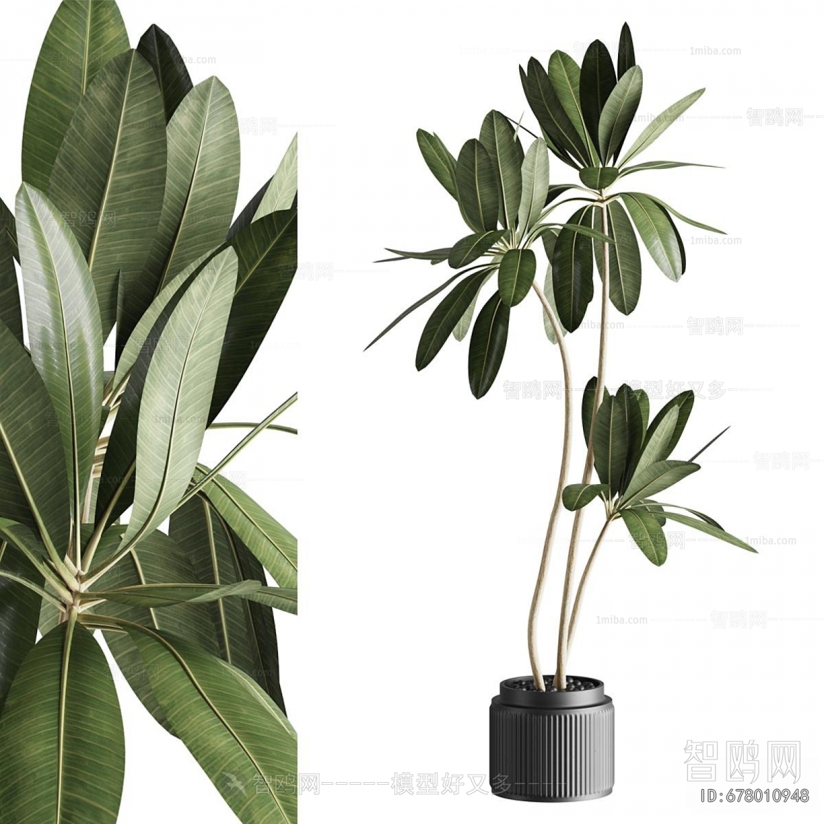Modern Potted Green Plant