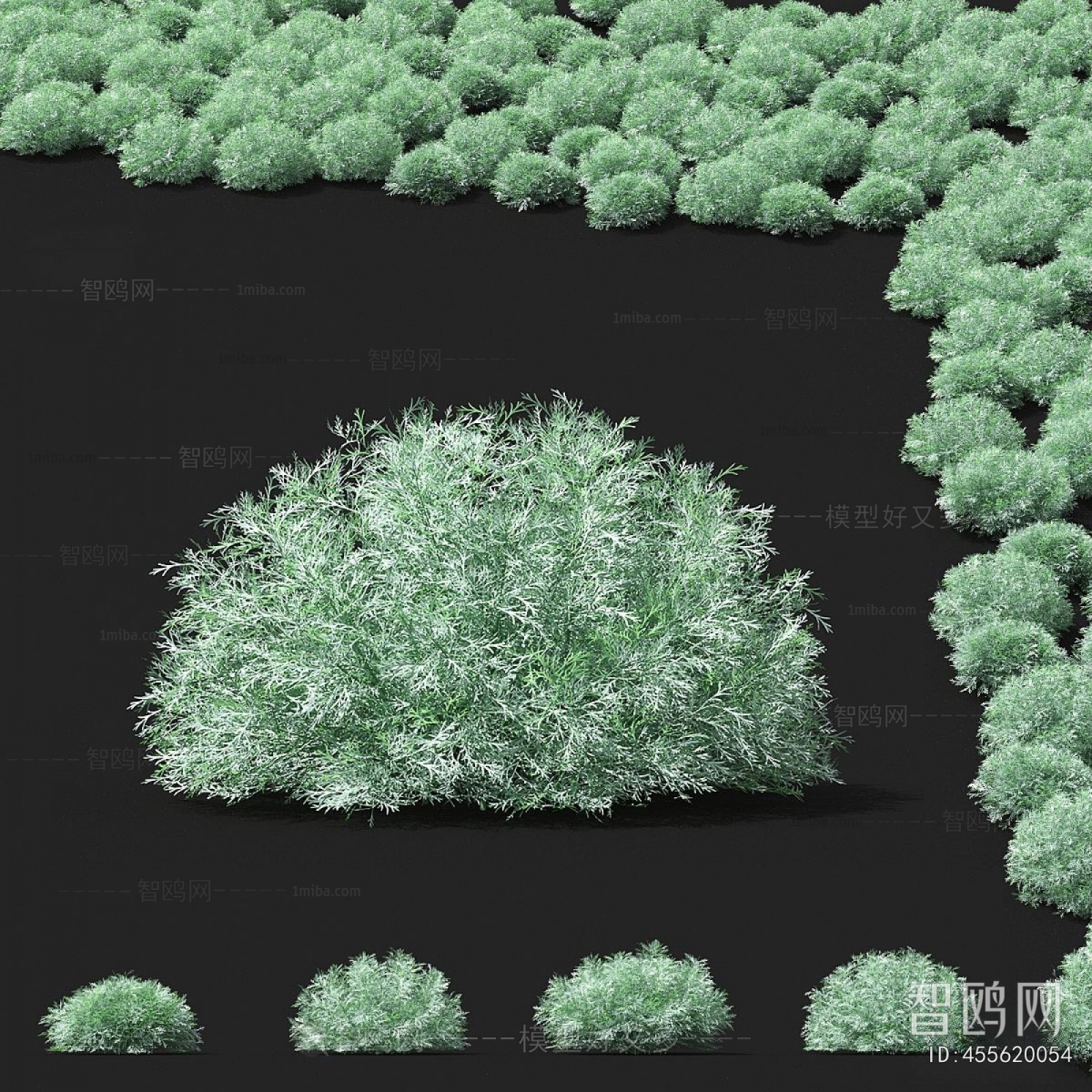 Modern Flowers And Grass