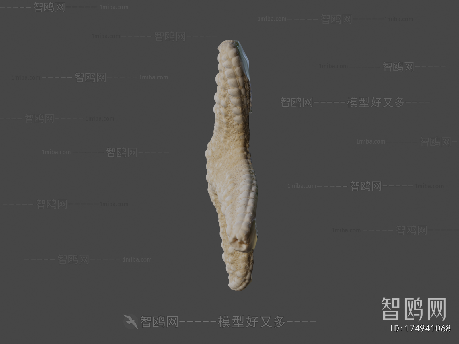 Modern Aquatic Animals