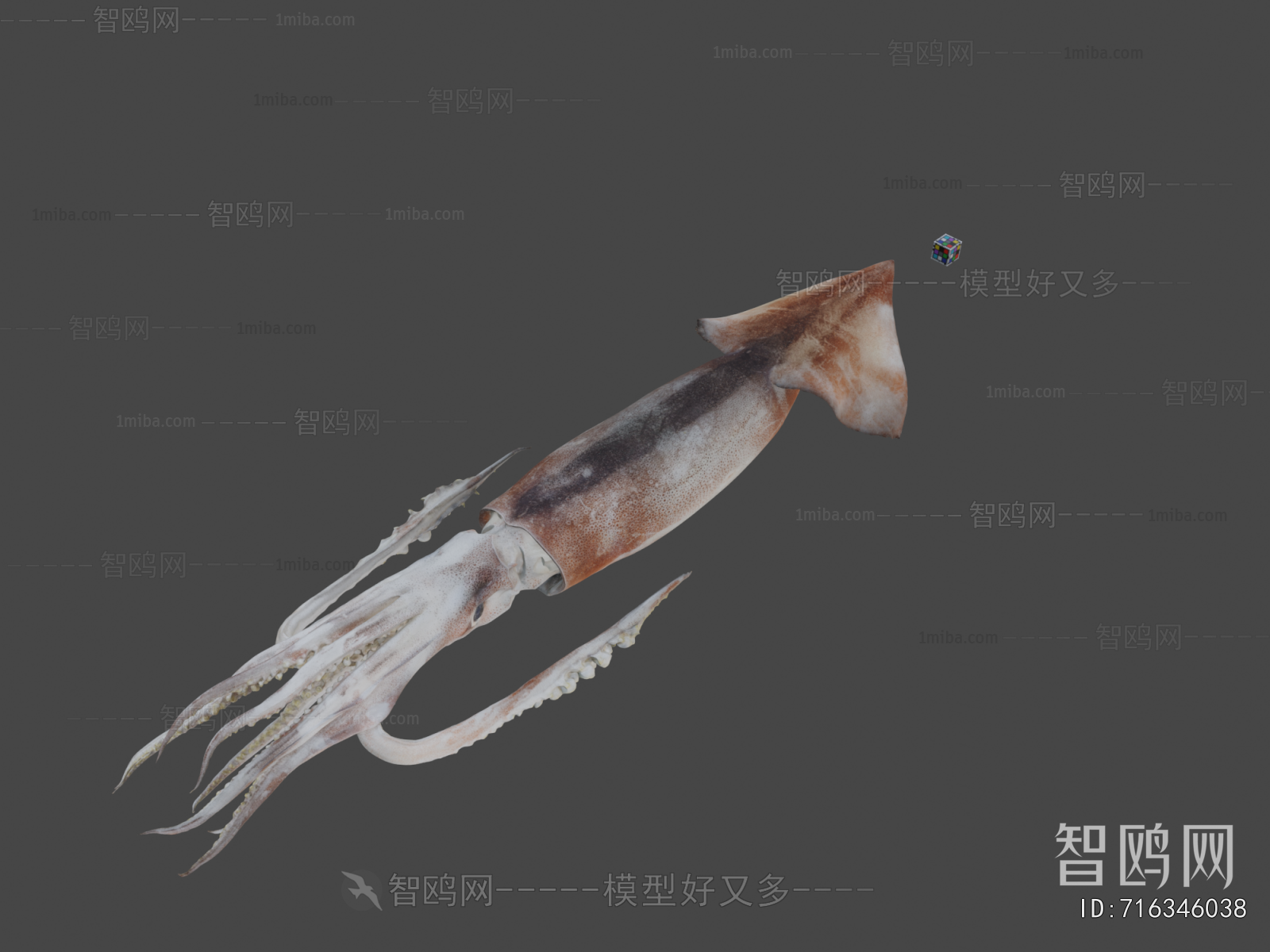 Modern Aquatic Animals