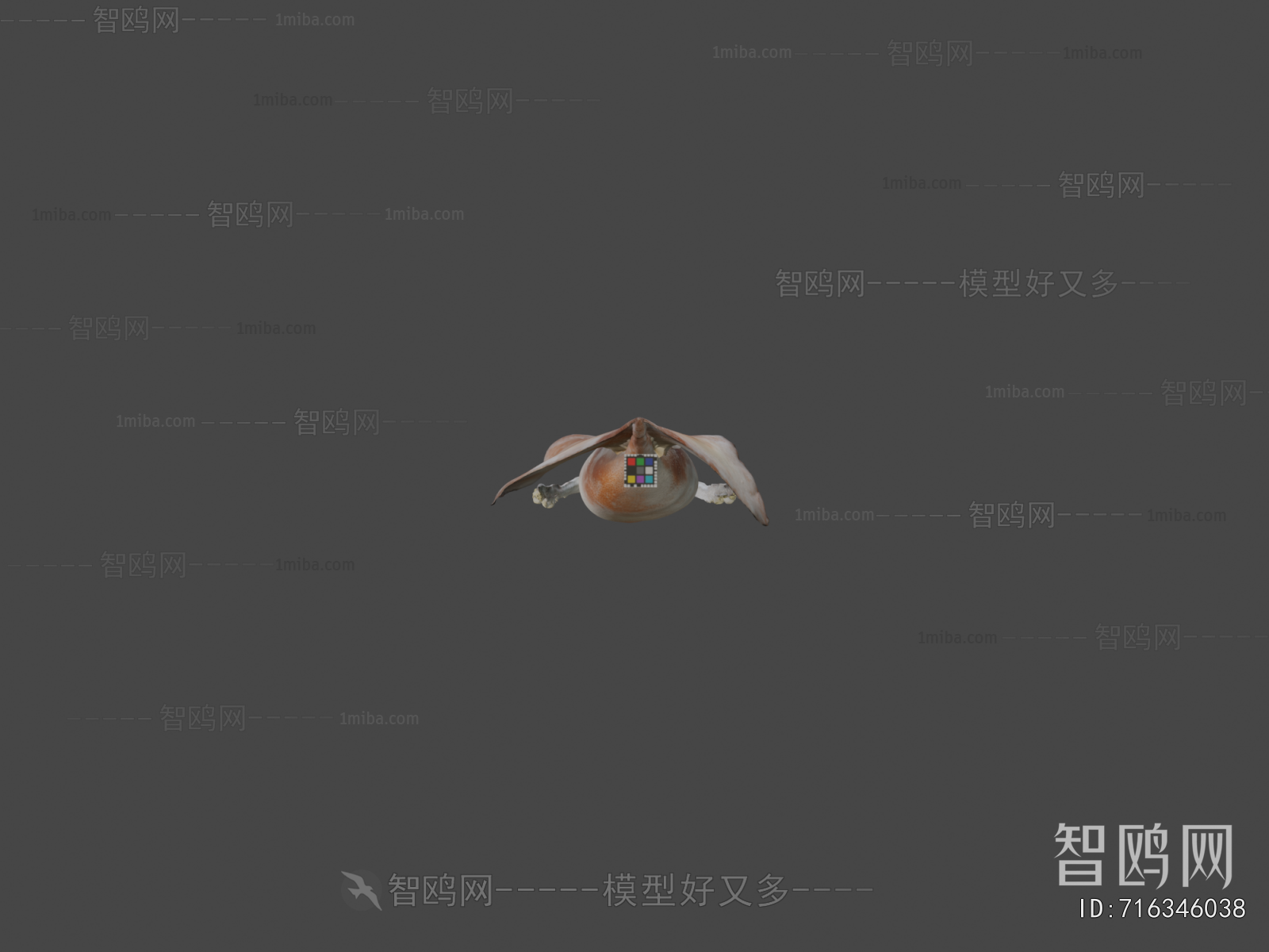 Modern Aquatic Animals