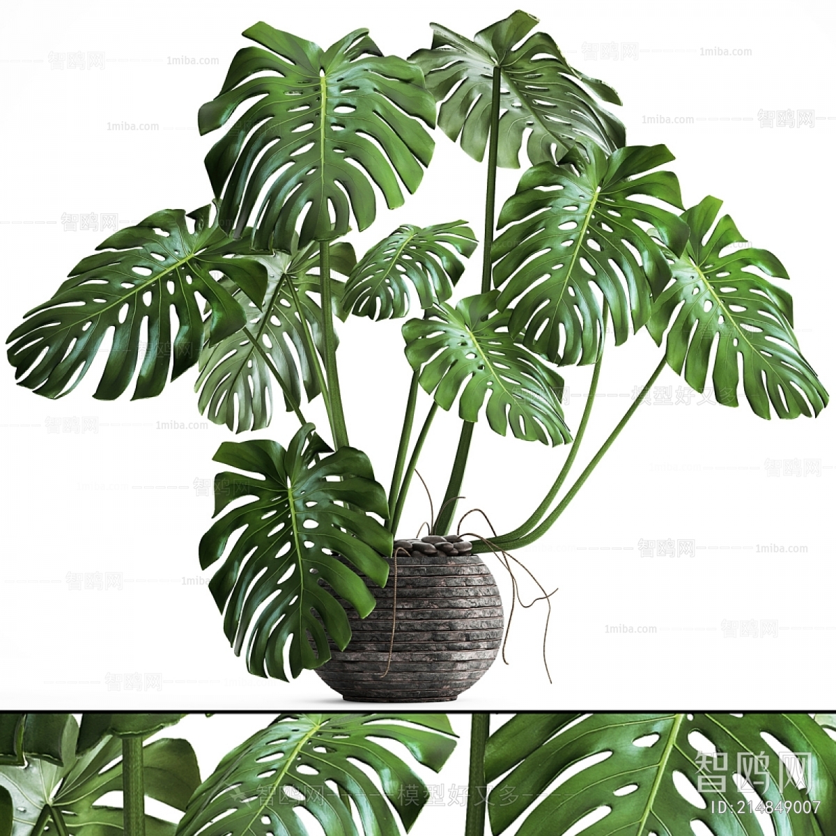 Modern Potted Green Plant