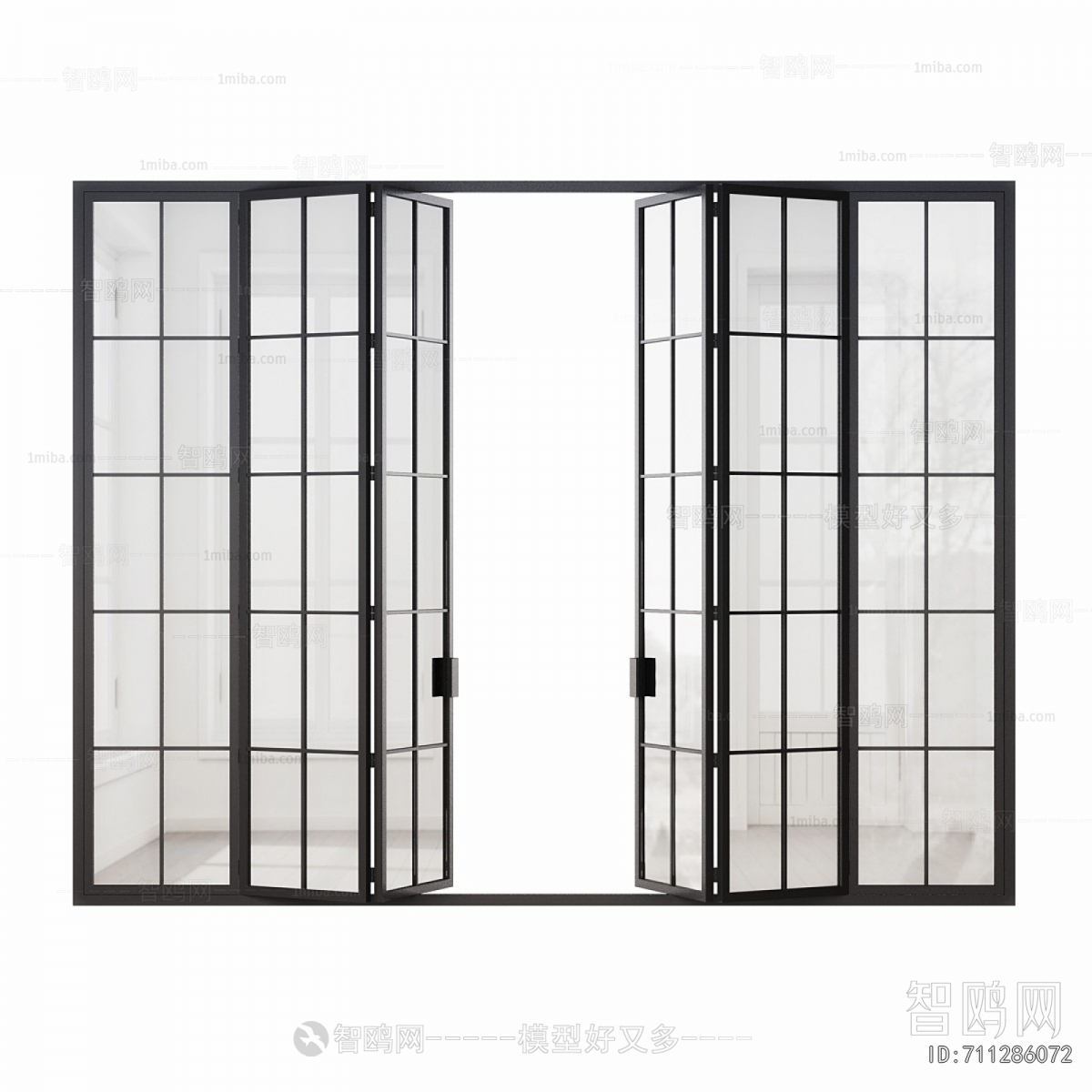 Modern Door