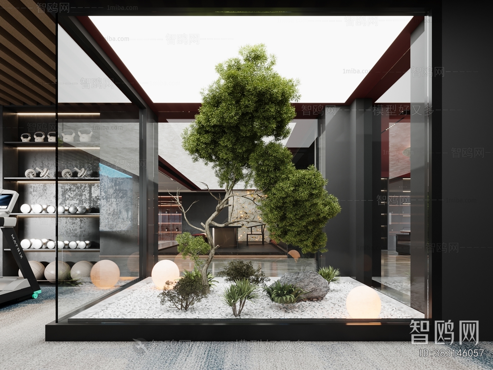 Modern Plant Landscaping