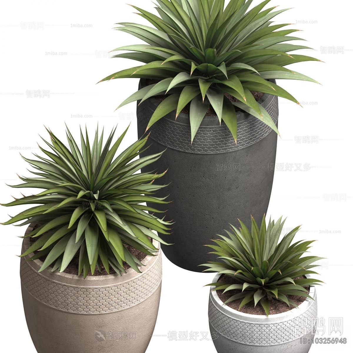 Modern Potted Green Plant