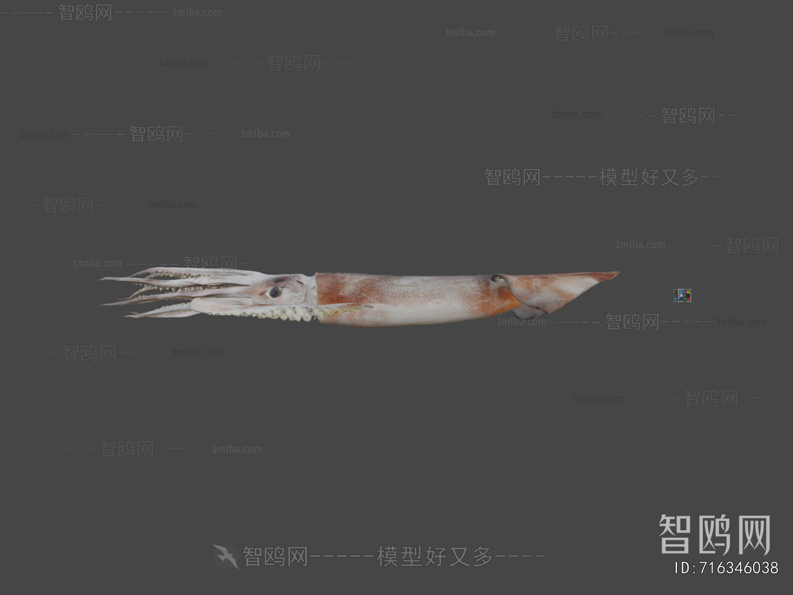 Modern Aquatic Animals