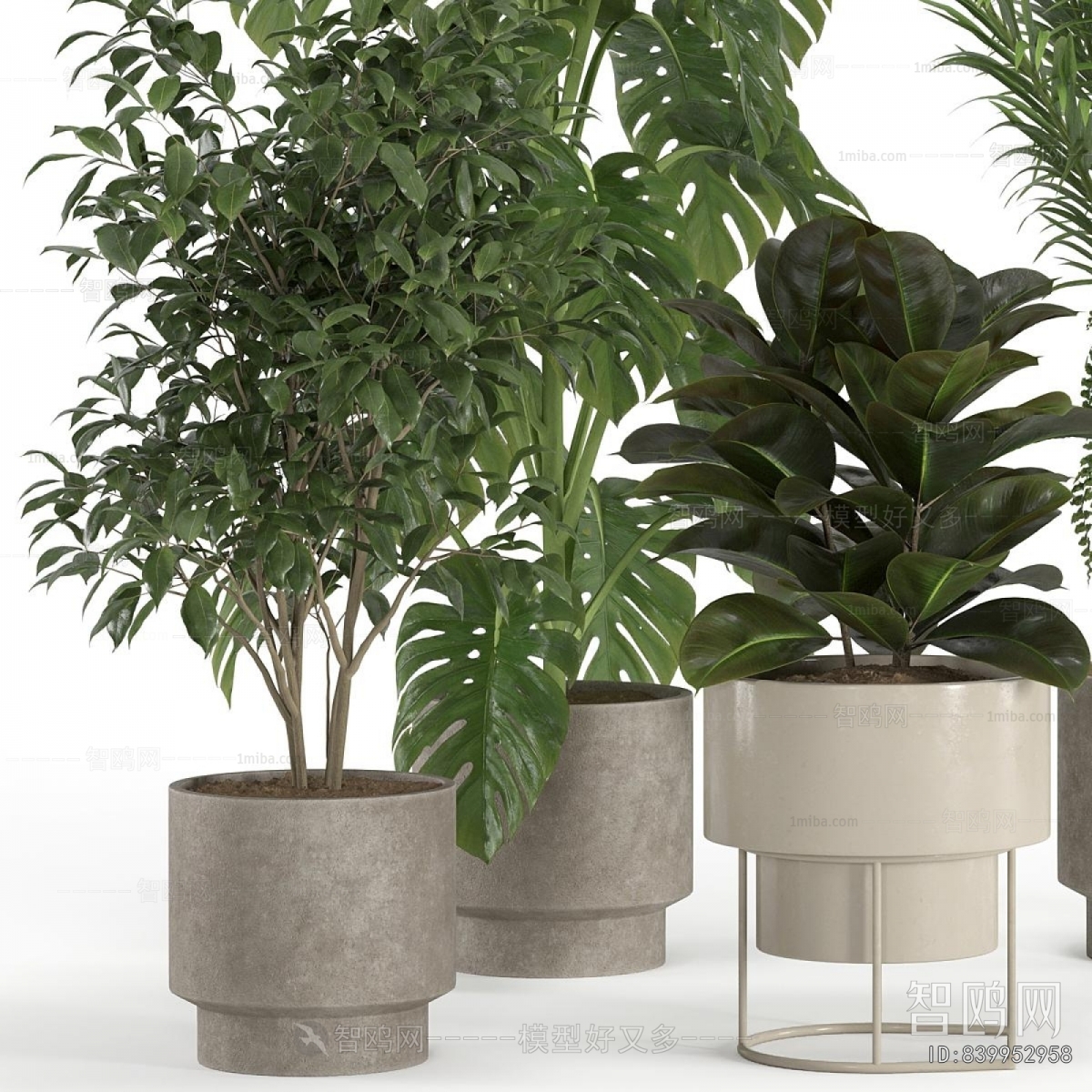 Modern Ground Green Plant Potted Plants