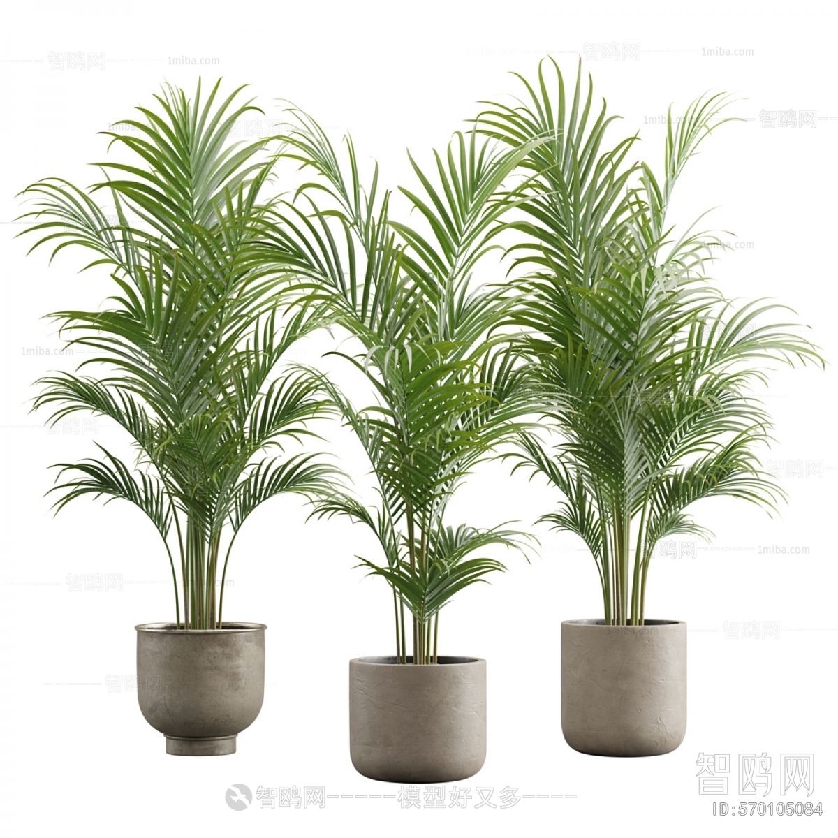 Modern Ground Green Plant Potted Plants