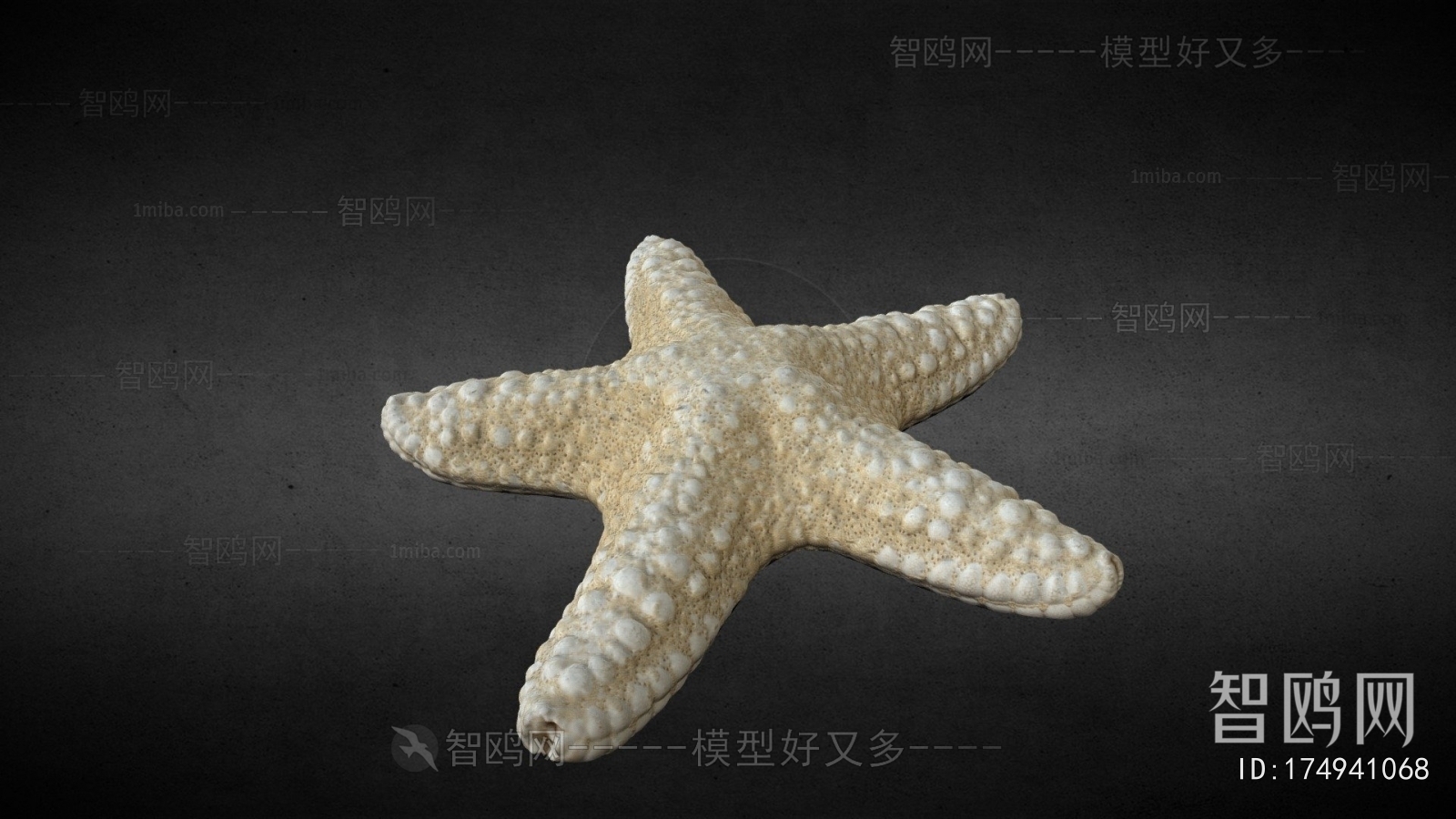 Modern Aquatic Animals