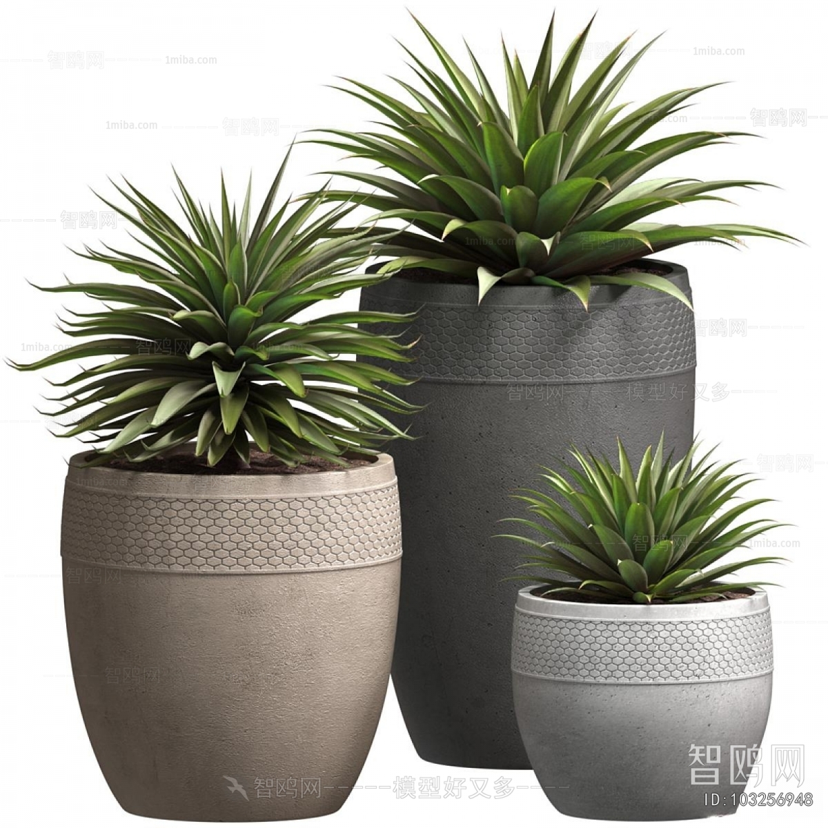 Modern Potted Green Plant