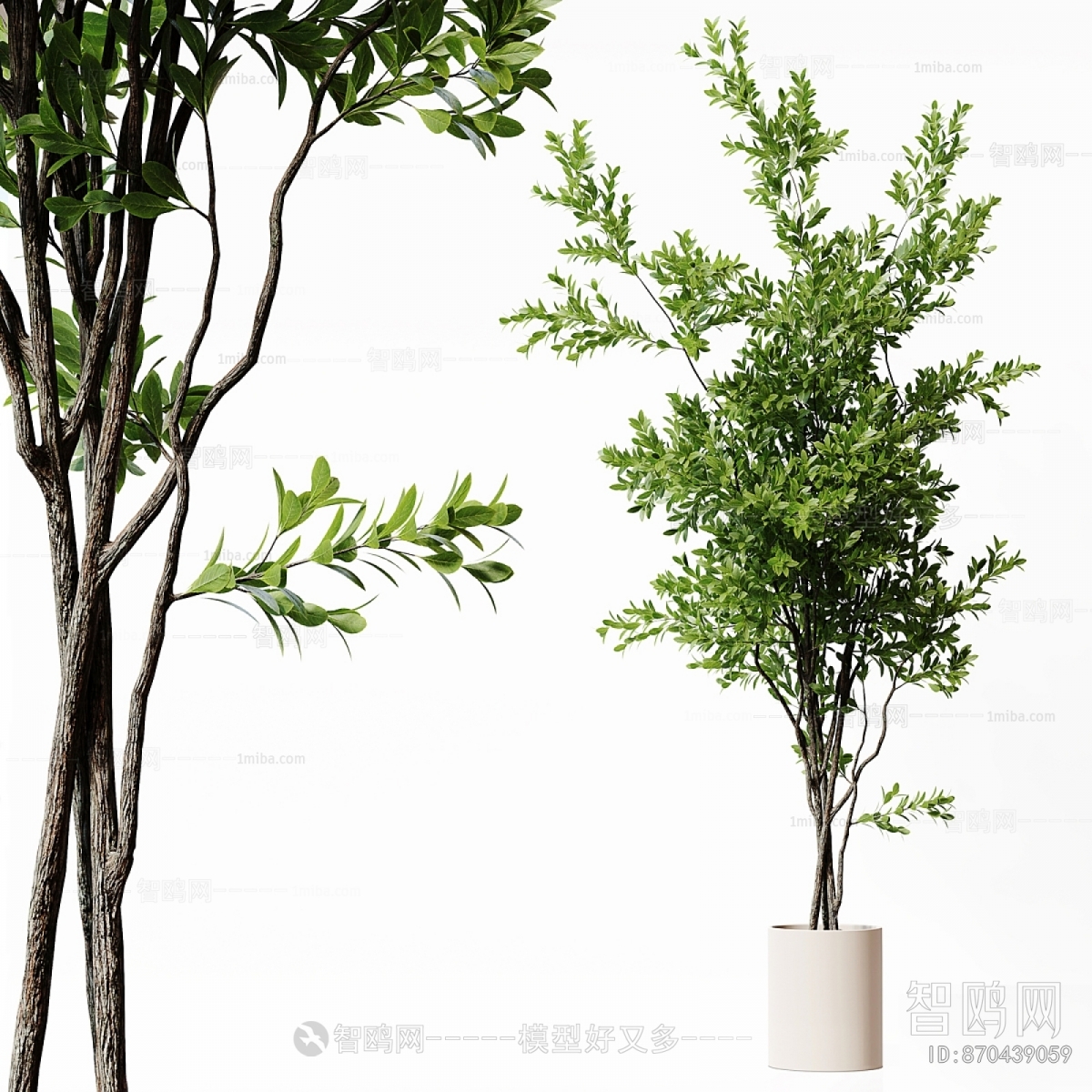 Modern Ground Green Plant Potted Plants