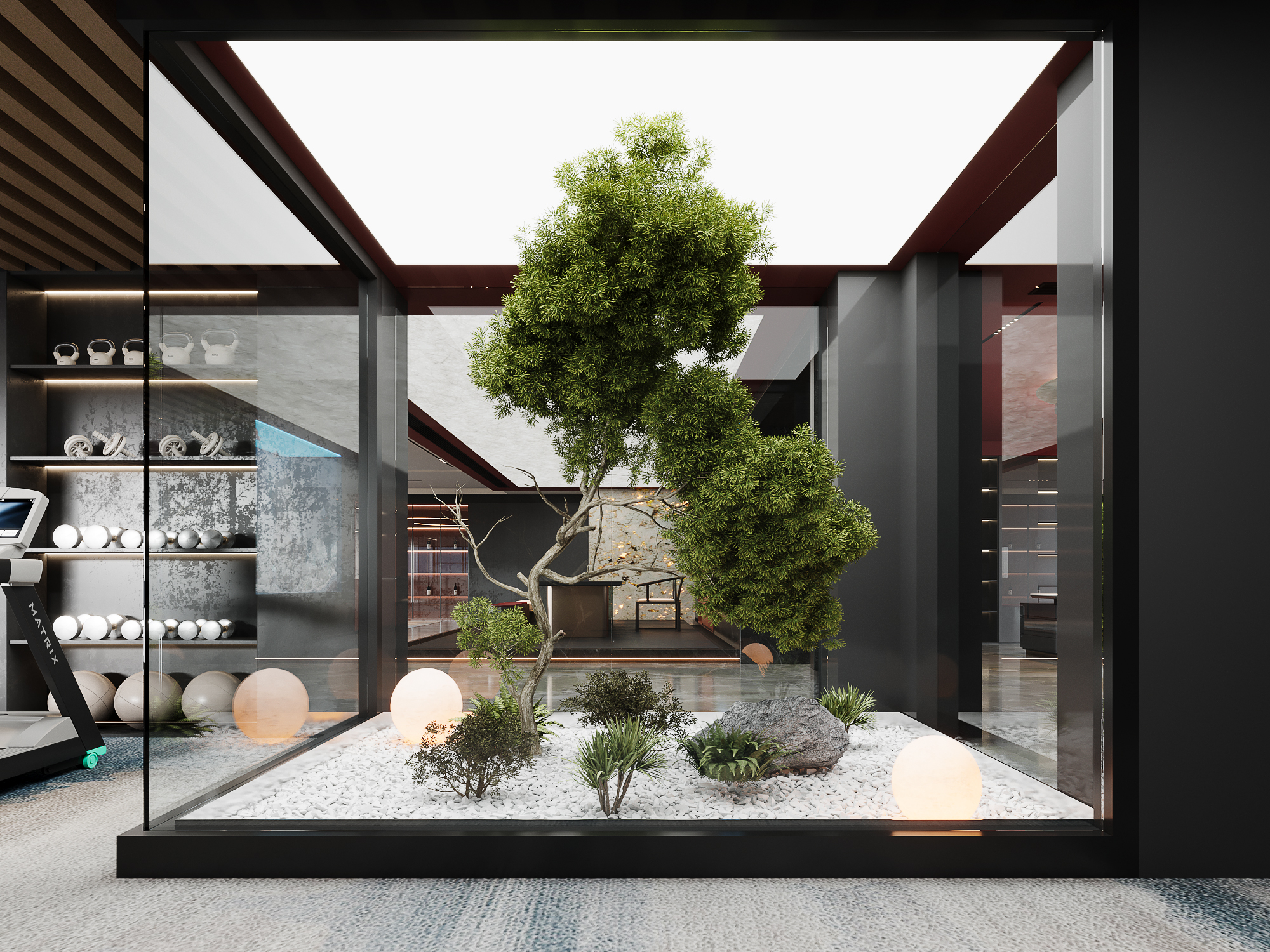 Modern Plant Landscaping