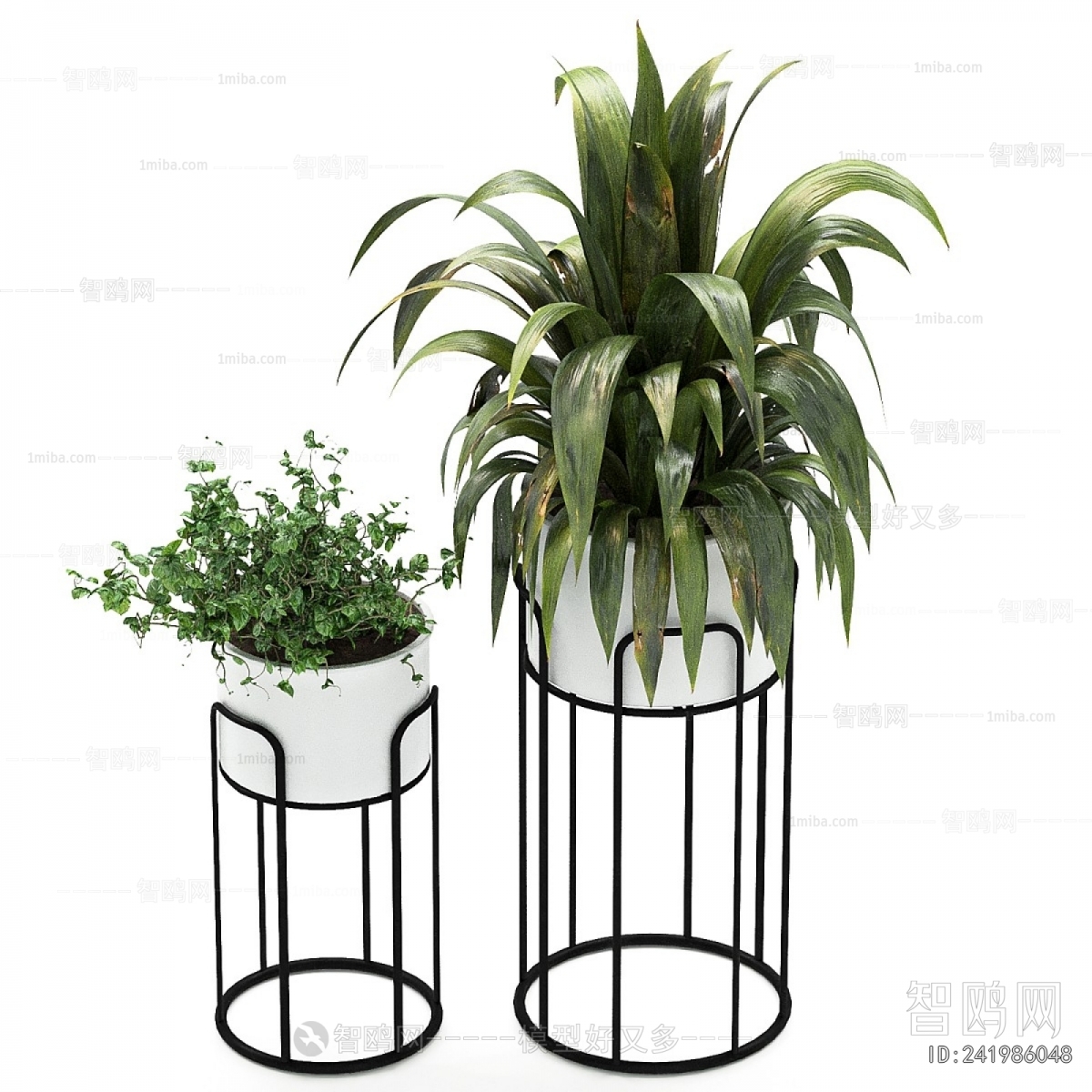 Modern Potted Green Plant