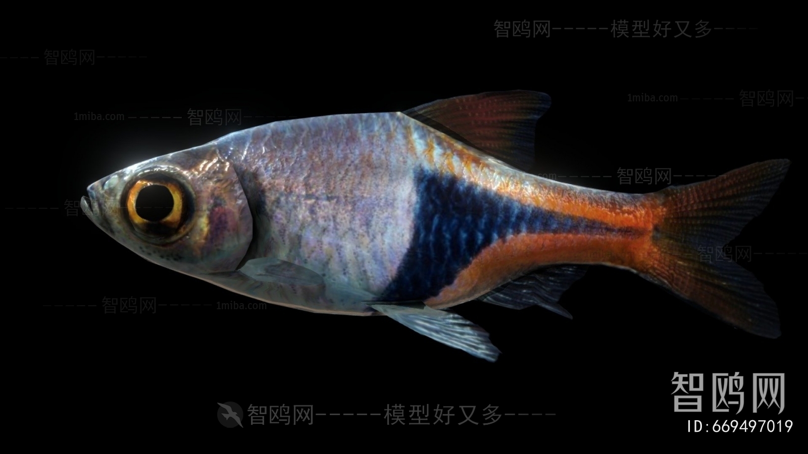 Modern Aquatic Animals