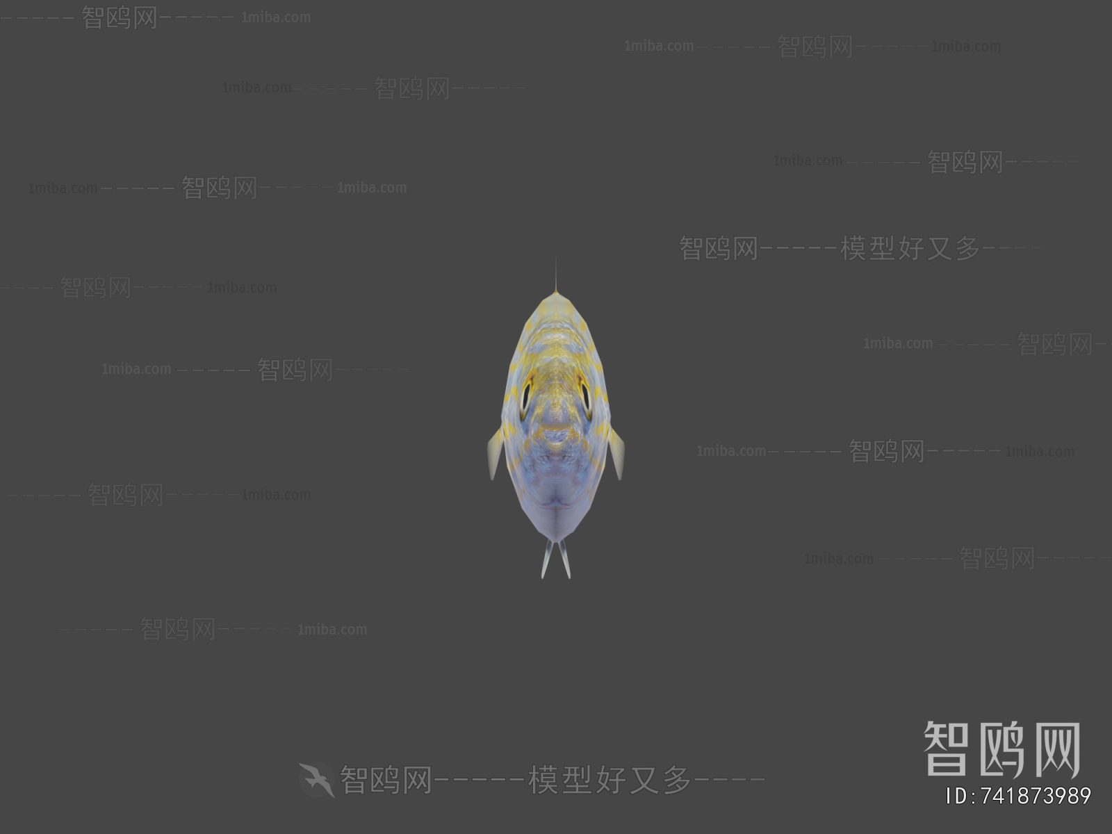 Modern Aquatic Animals