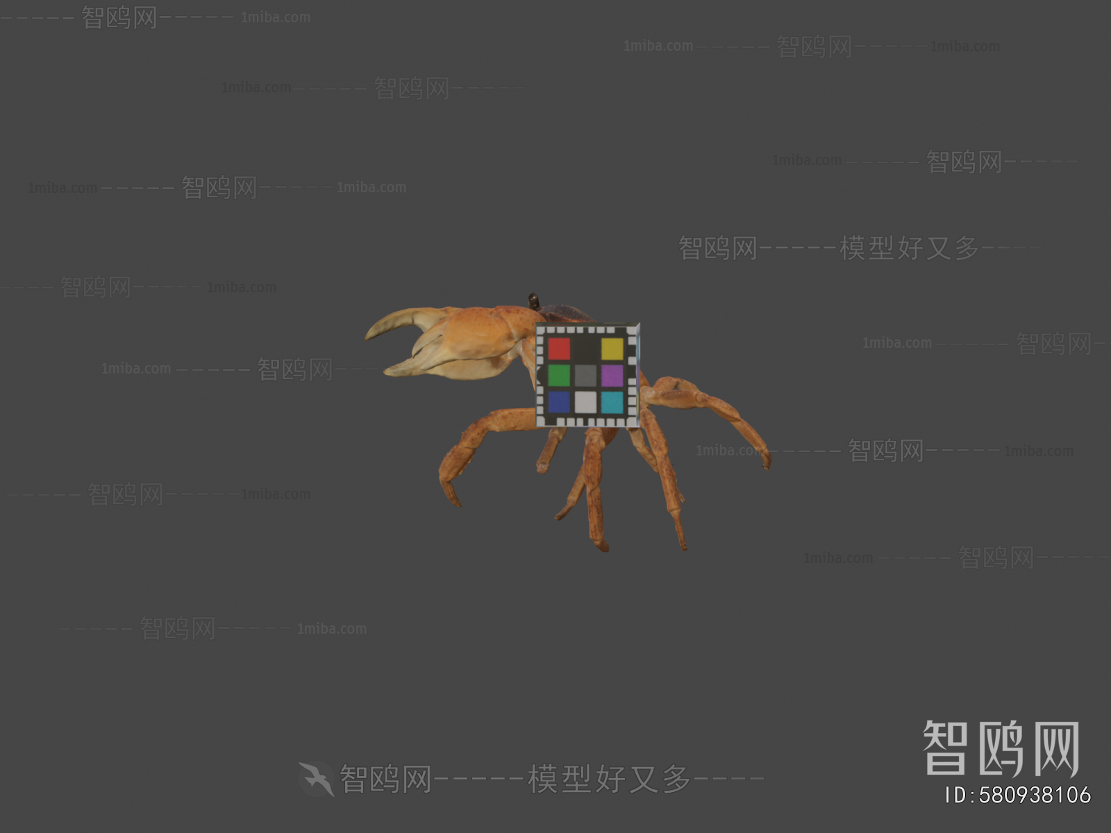 Modern Aquatic Animals