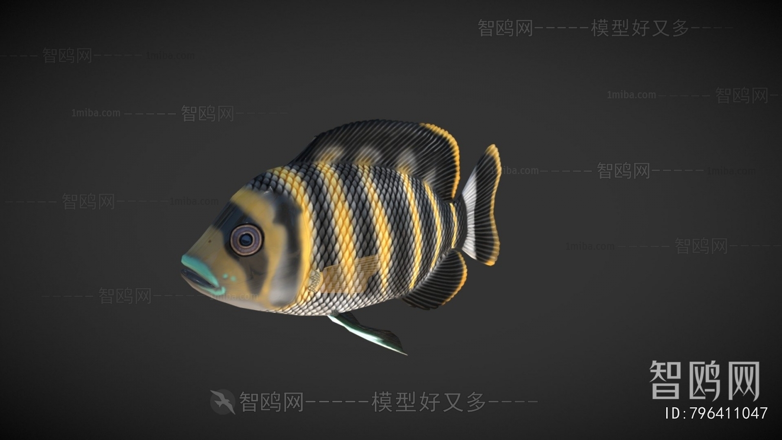 Modern Aquatic Animals