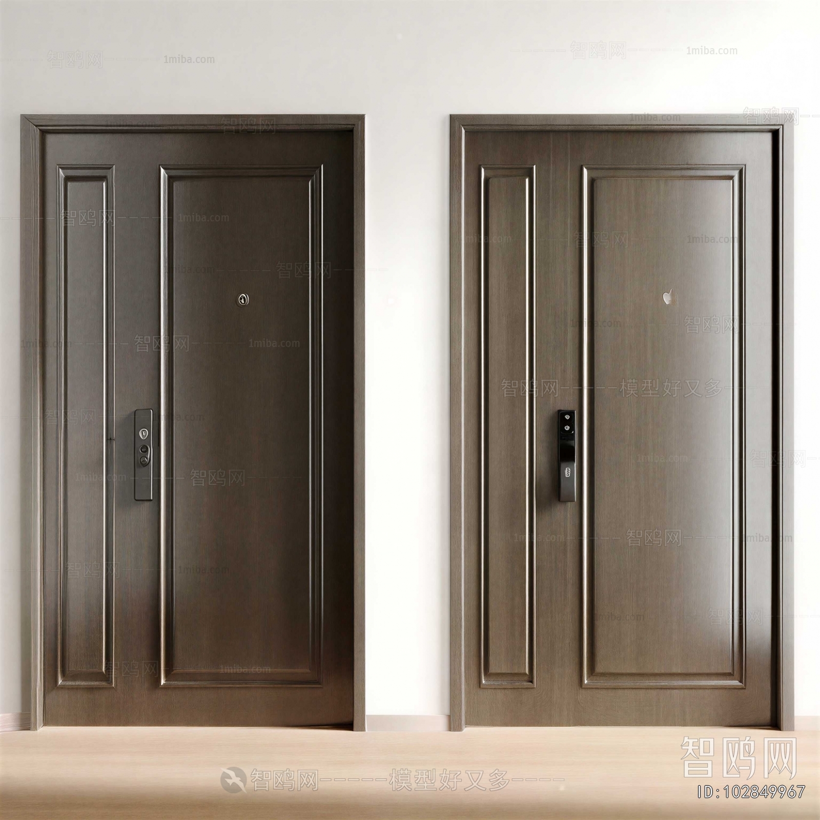 Modern Door