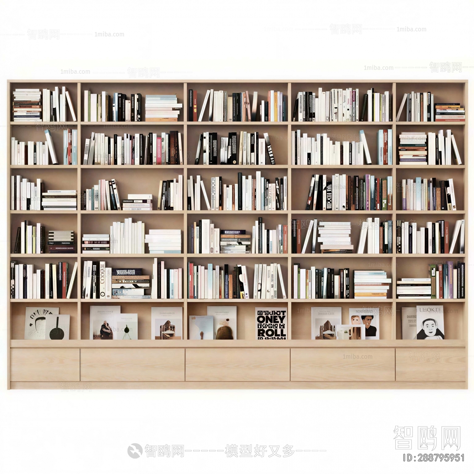 Modern Bookcase