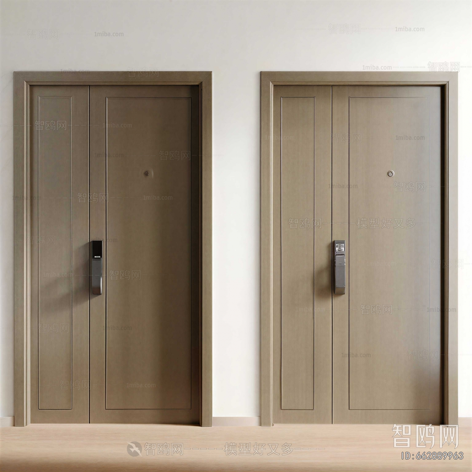 Modern Entrance Door