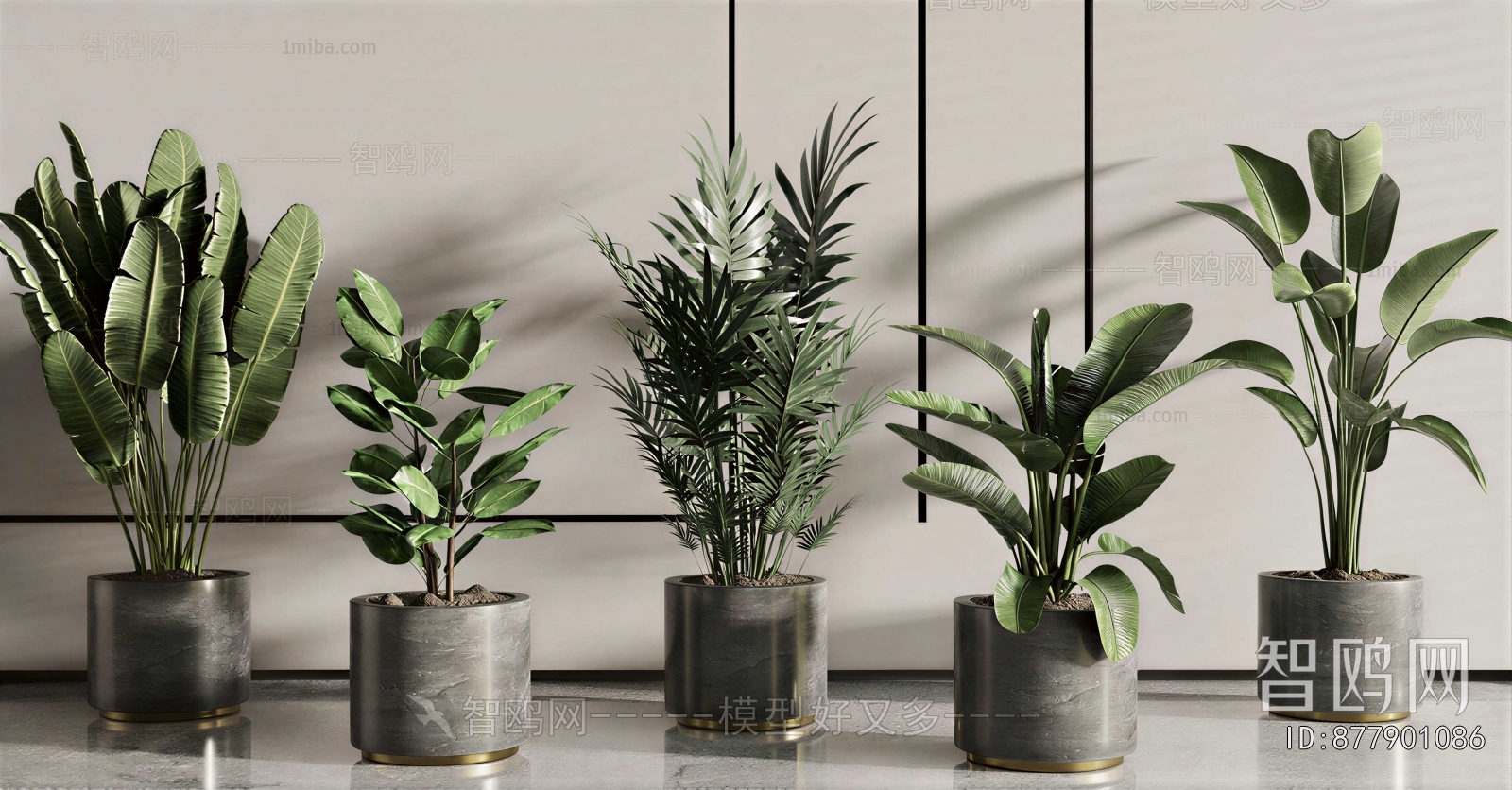 Modern Ground Green Plant Potted Plants