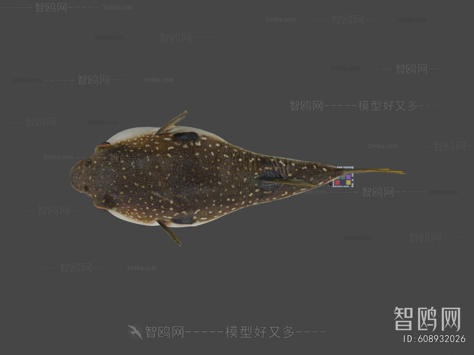 Modern Aquatic Animals