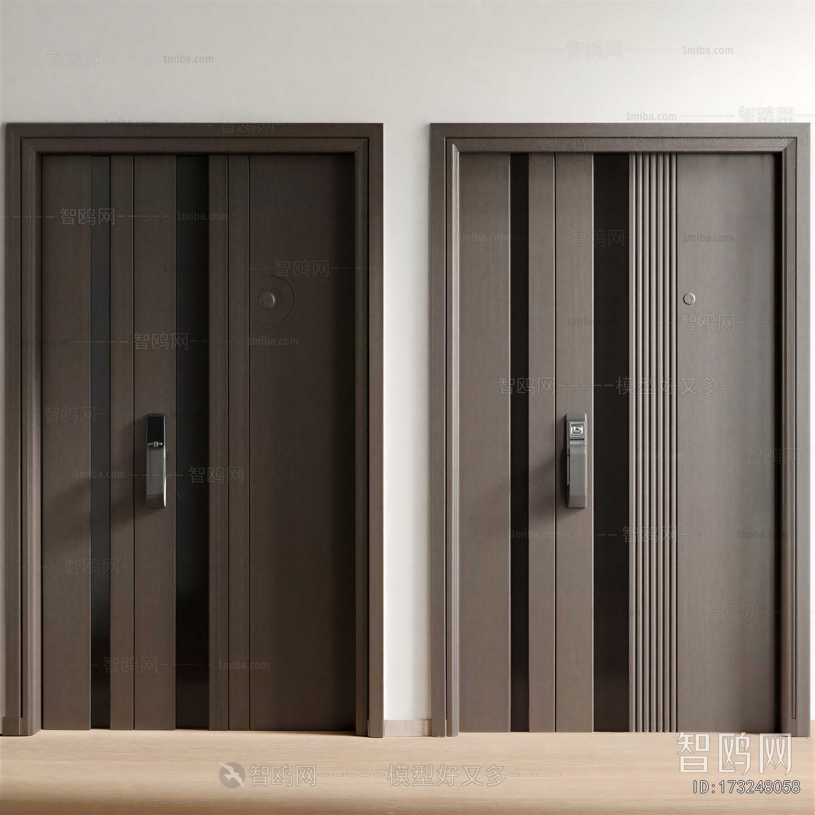 Modern Entrance Door