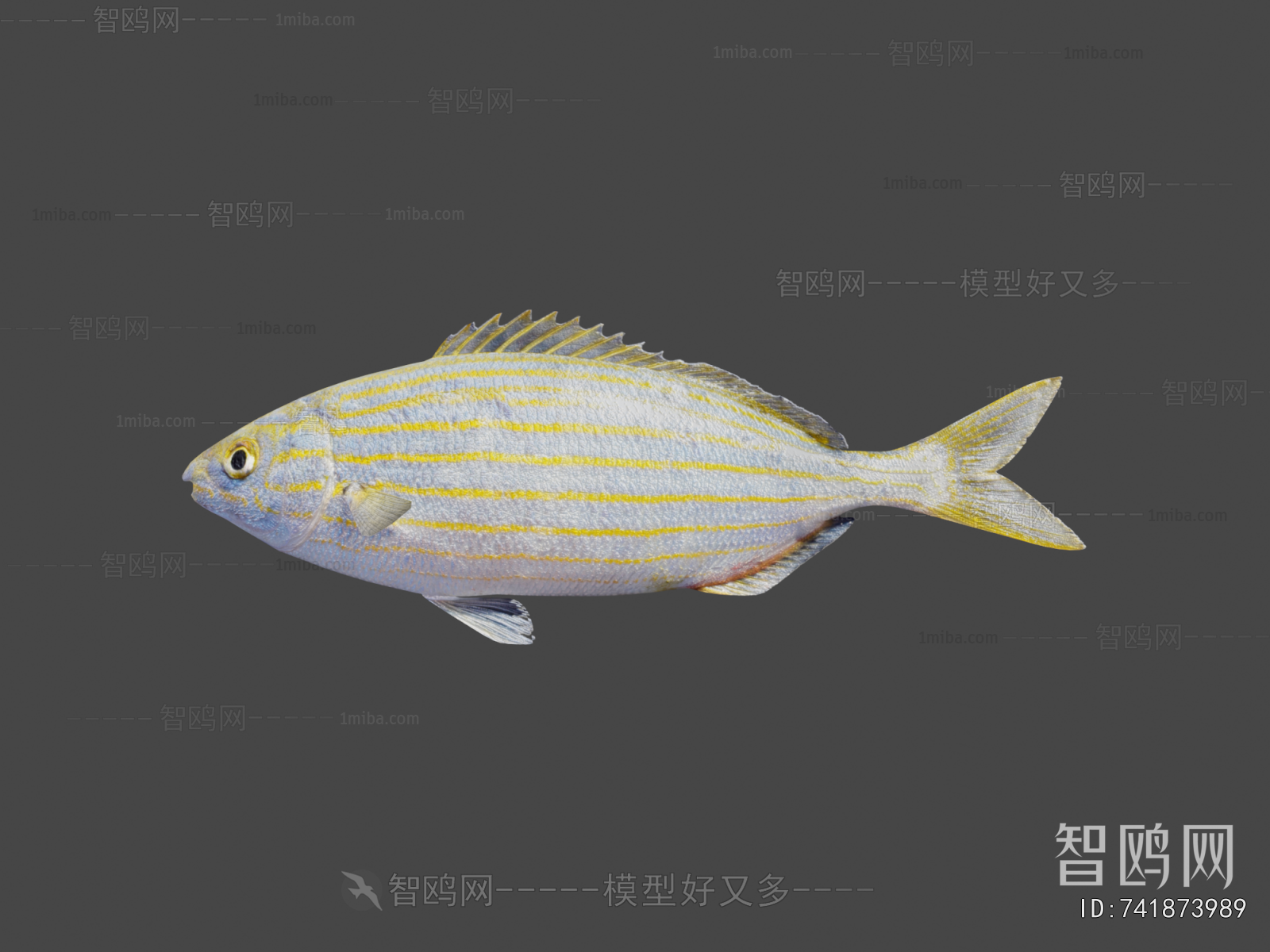 Modern Aquatic Animals