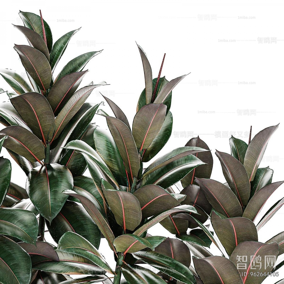 Modern Potted Green Plant