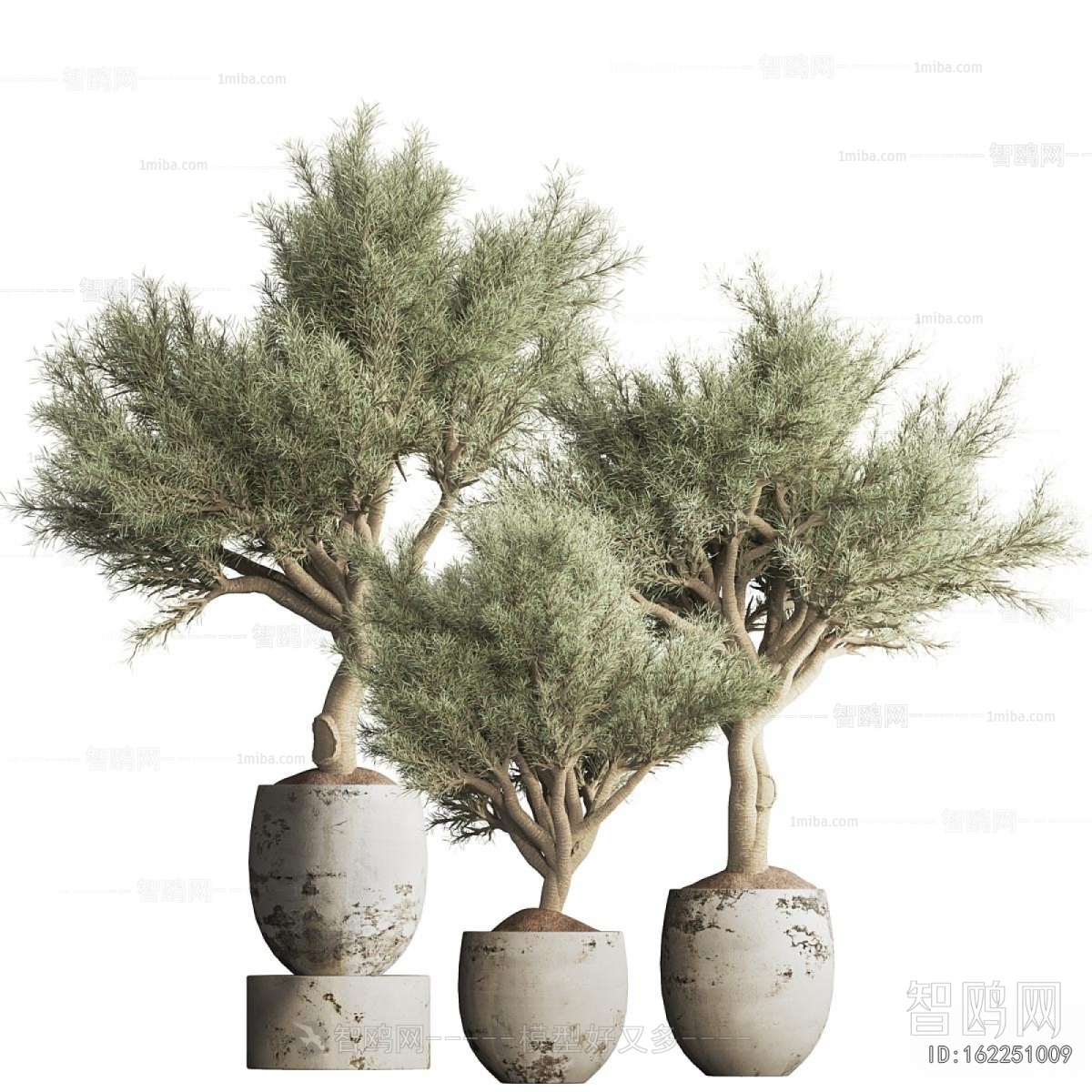 Modern Ground Green Plant Potted Plants