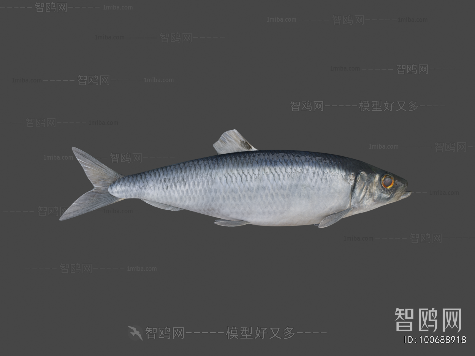 Modern Aquatic Animals