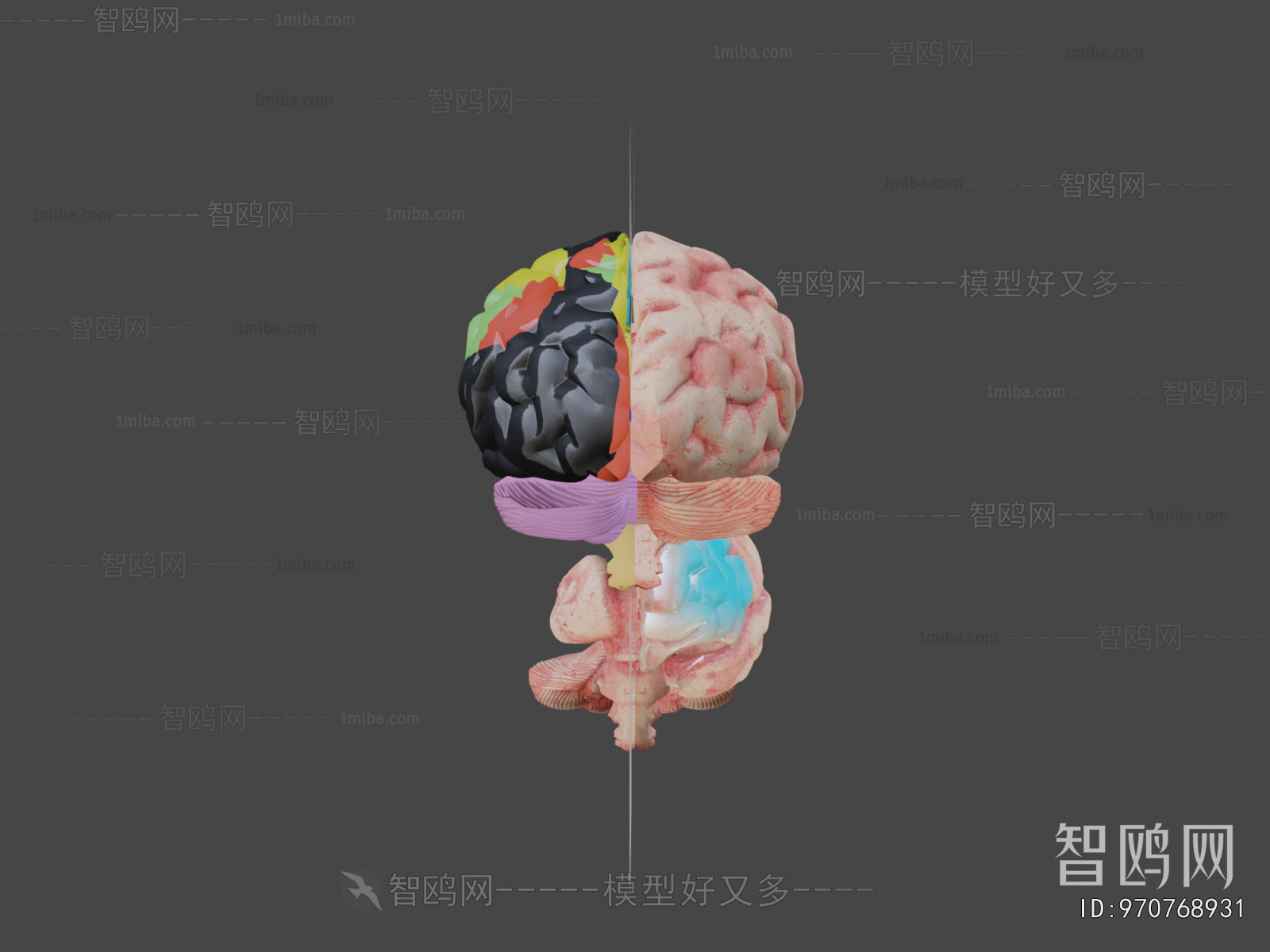 Modern Medical Equipment