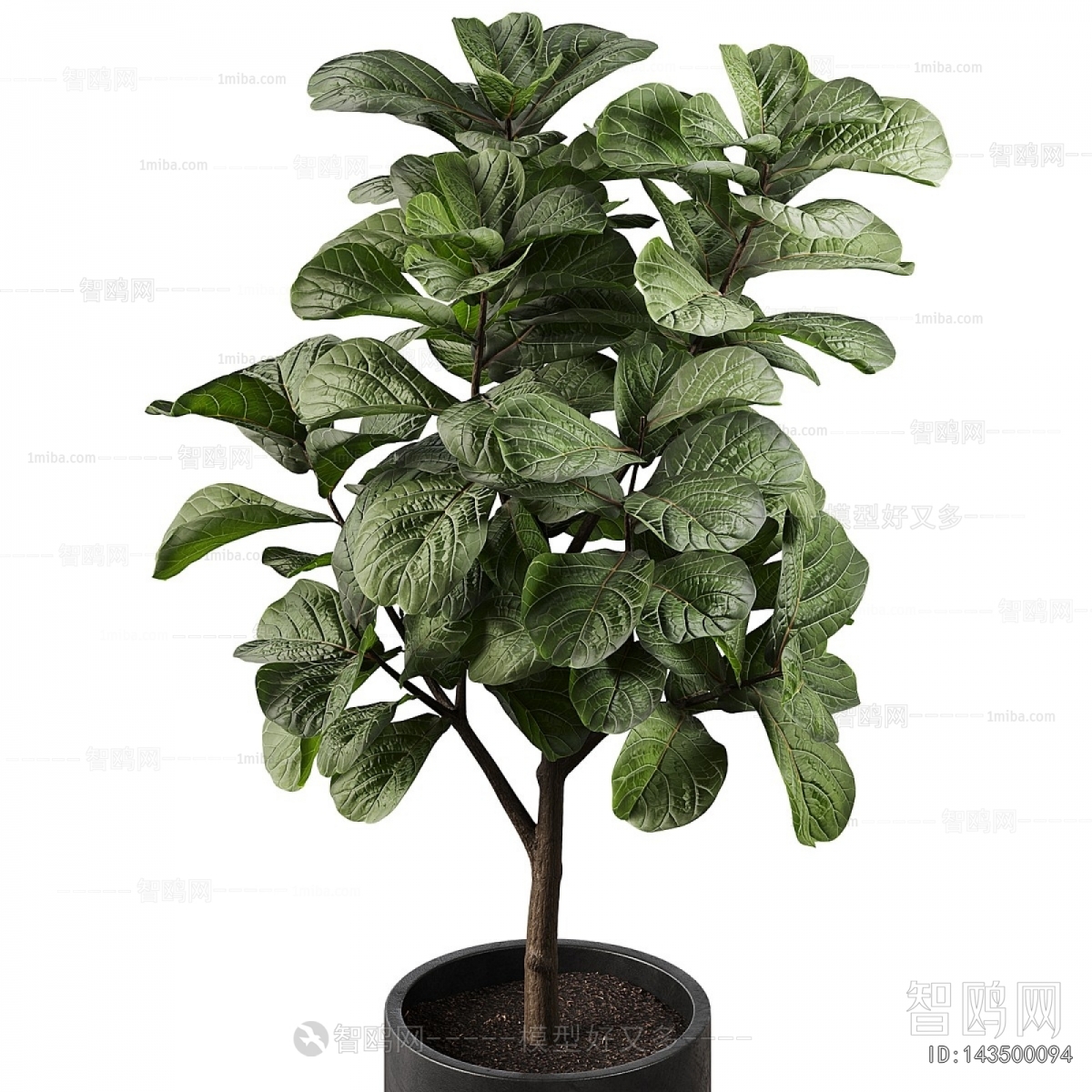 Modern Ground Green Plant Potted Plants