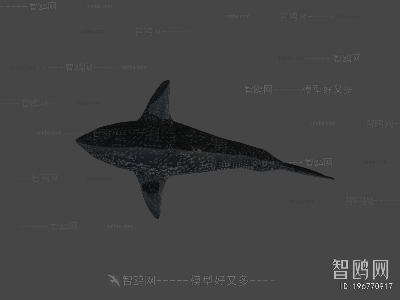 Modern Aquatic Animals