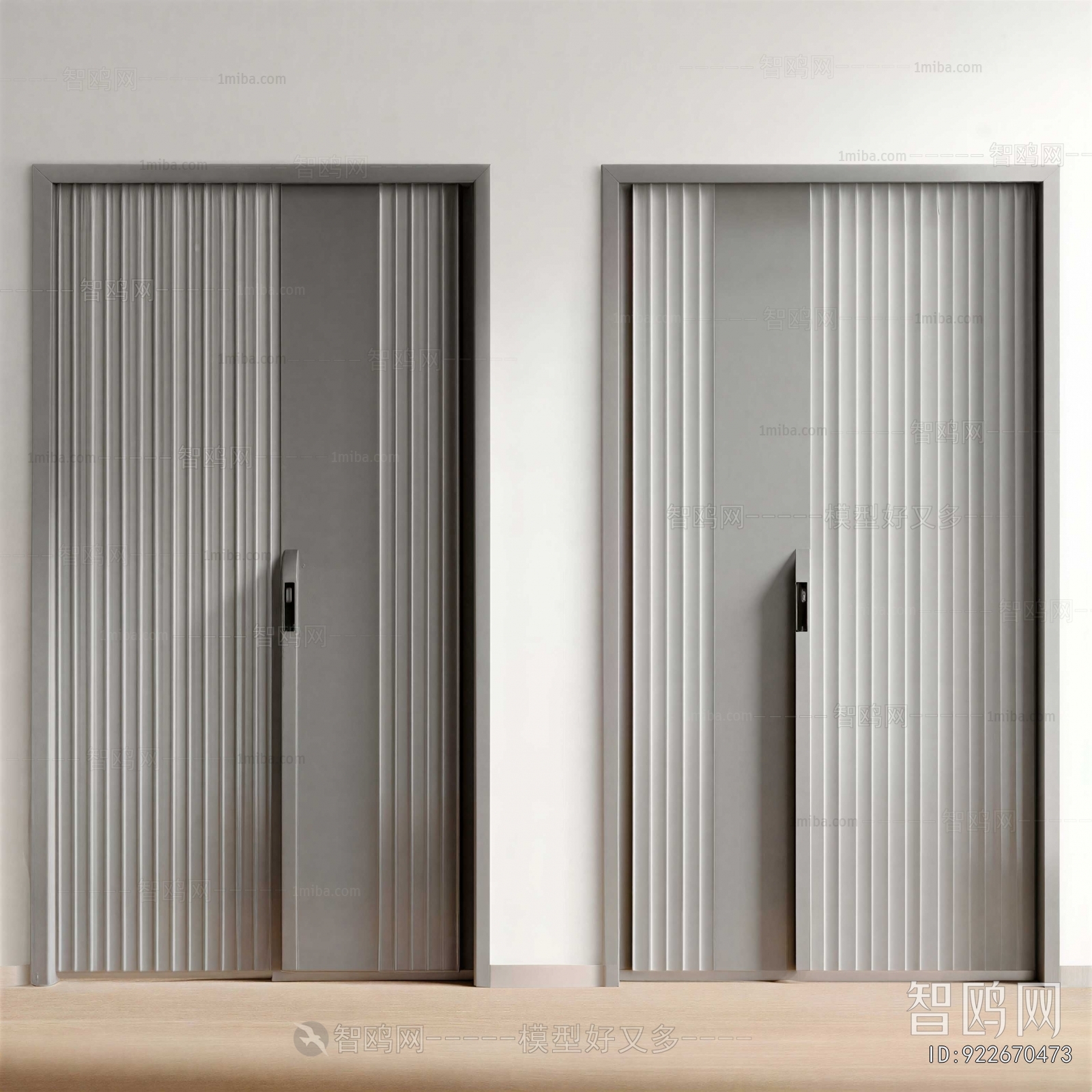 Modern Entrance Door