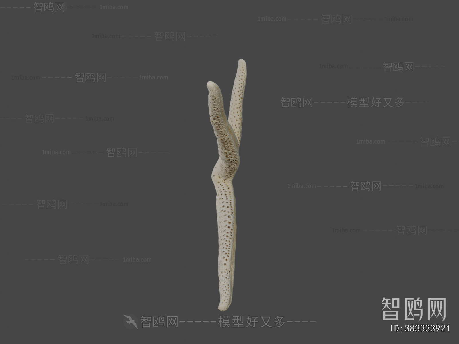 Modern Aquatic Animals