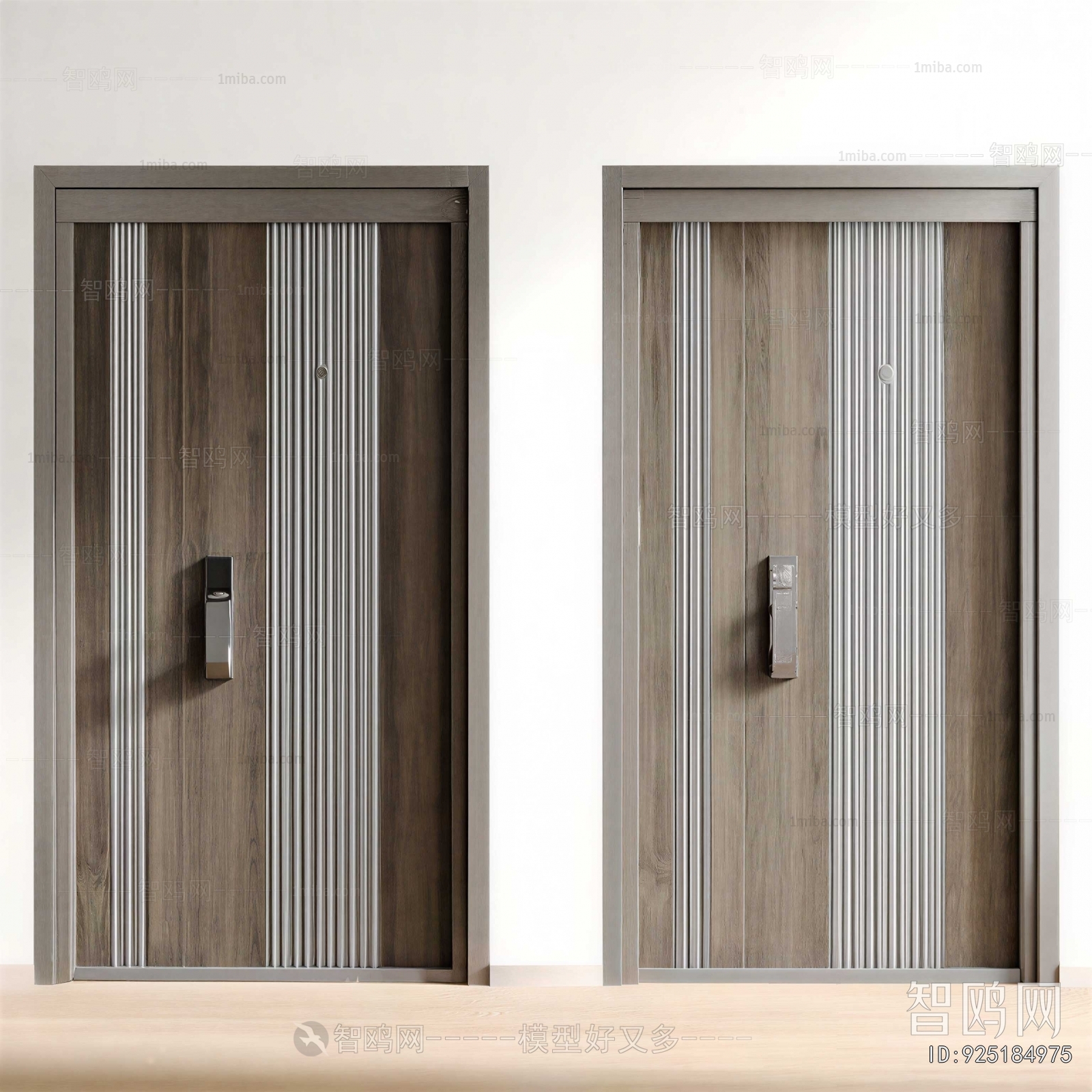 Modern Entrance Door