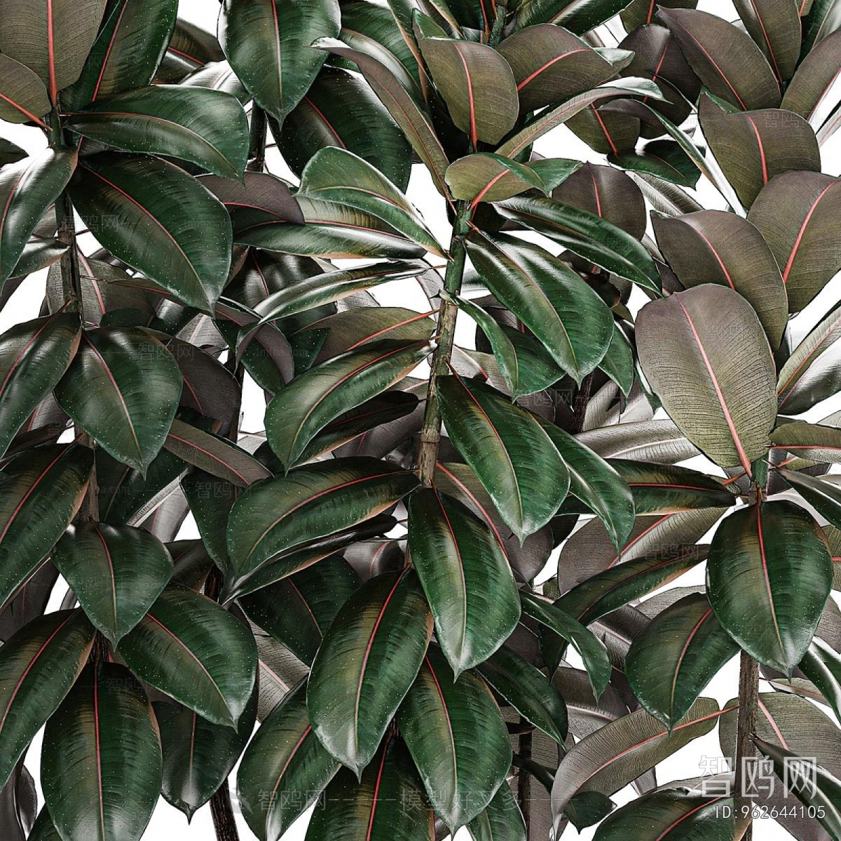 Modern Potted Green Plant
