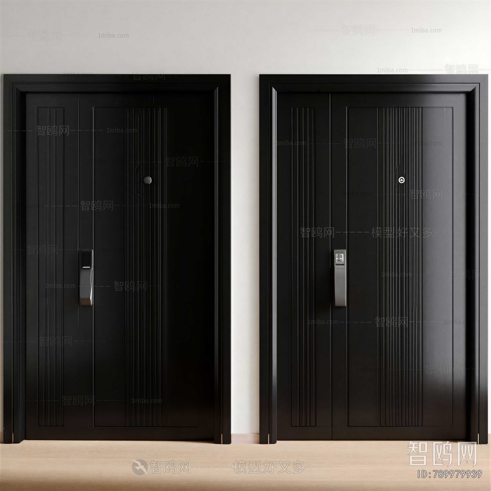 Modern Entrance Door