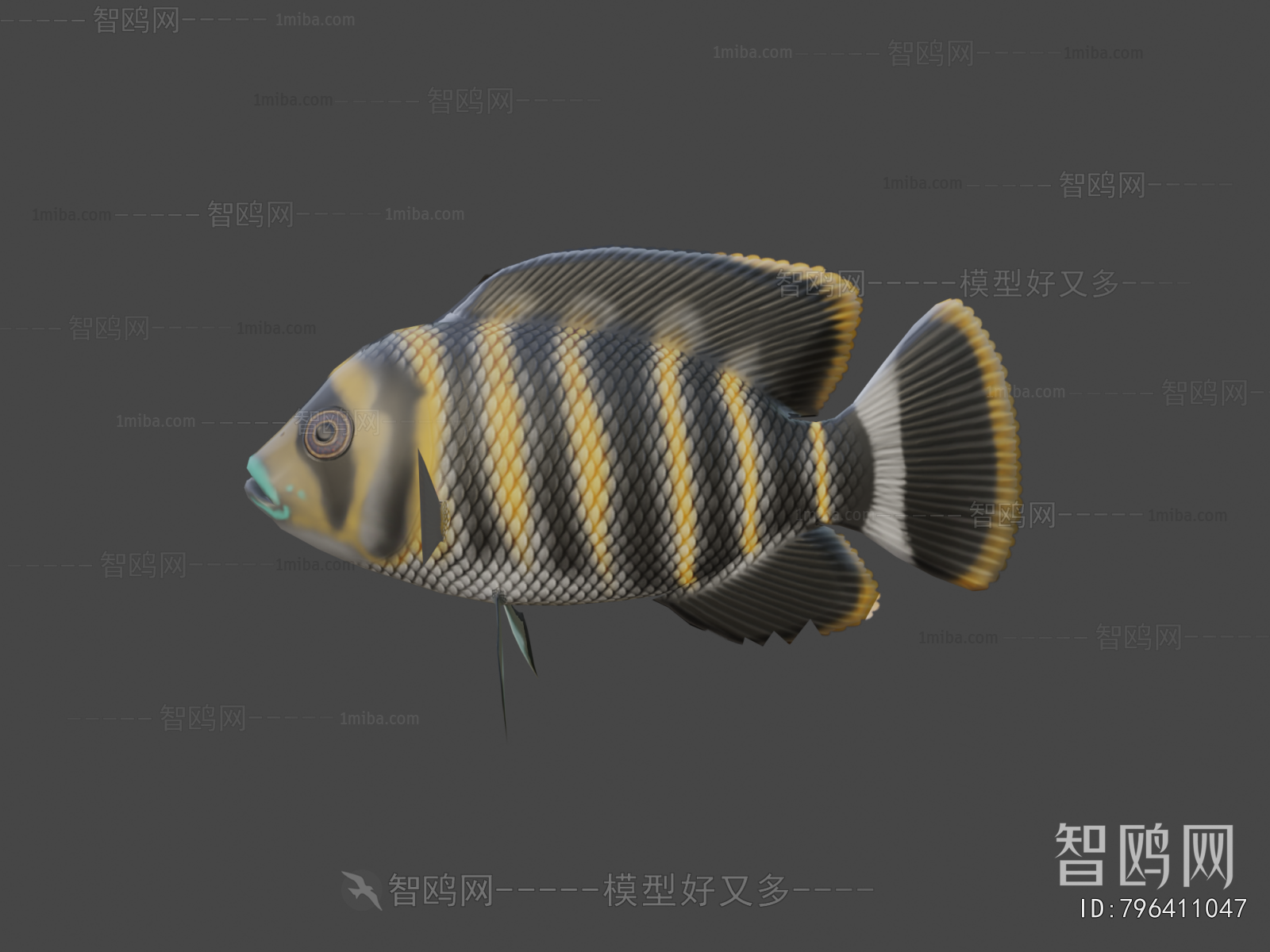 Modern Aquatic Animals