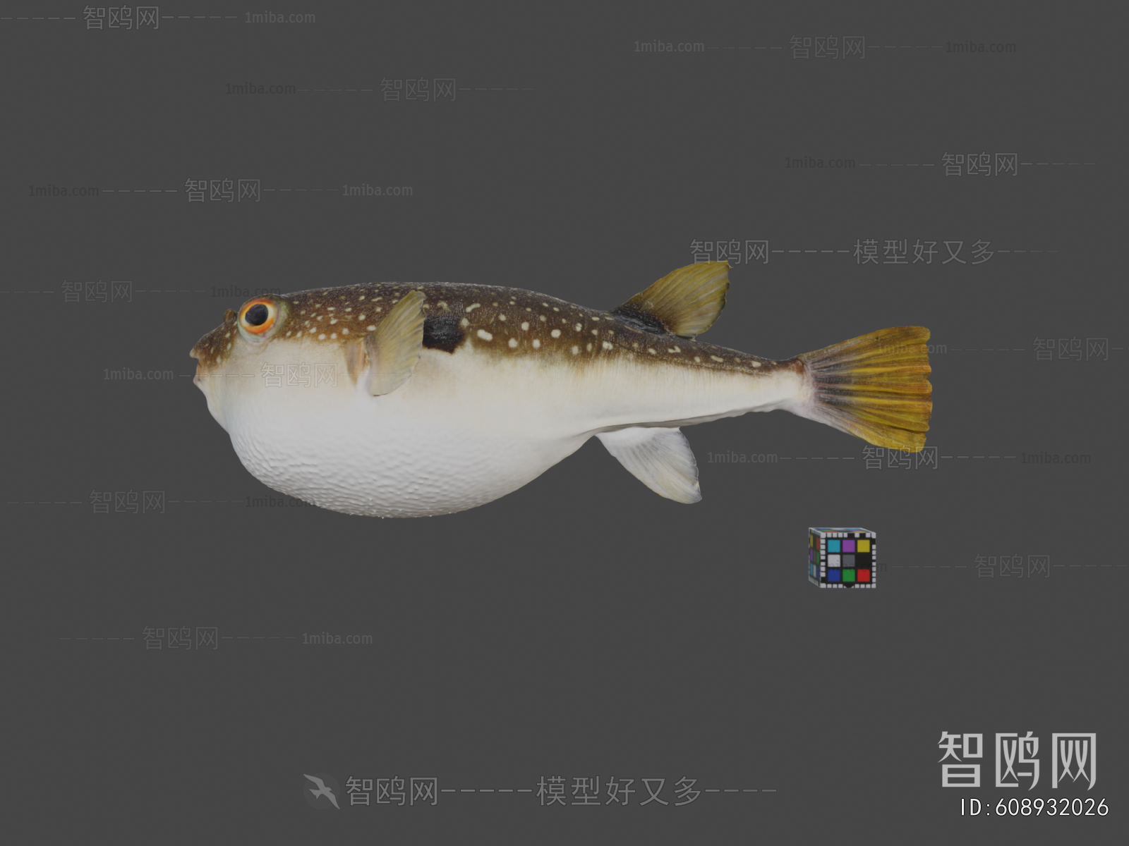 Modern Aquatic Animals