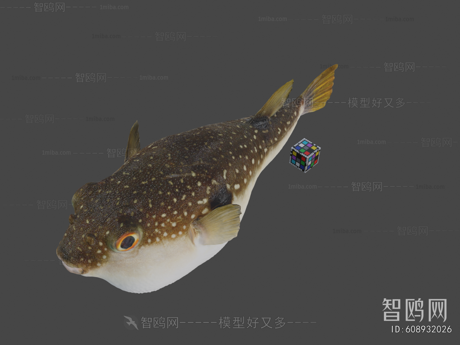 Modern Aquatic Animals