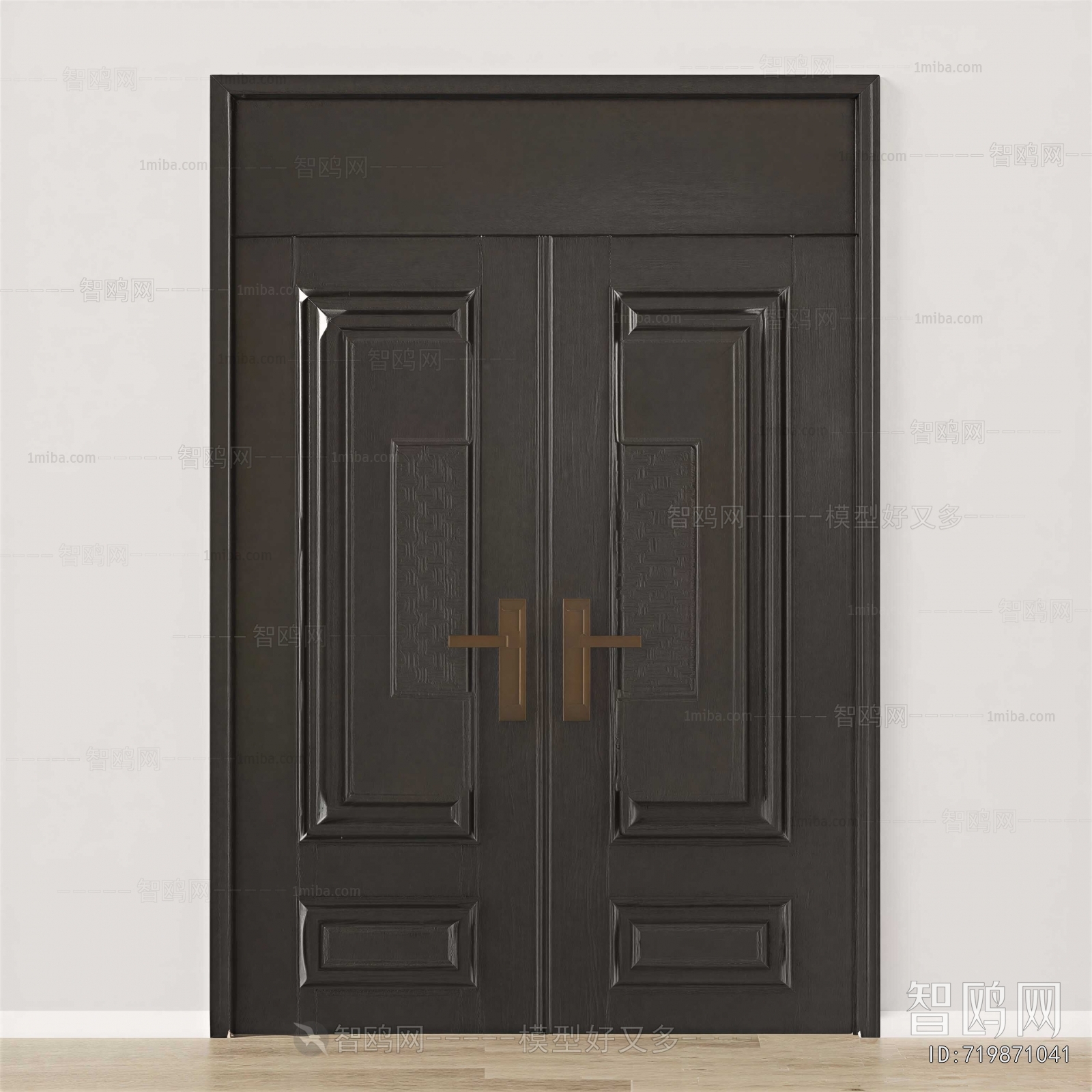 Modern Door