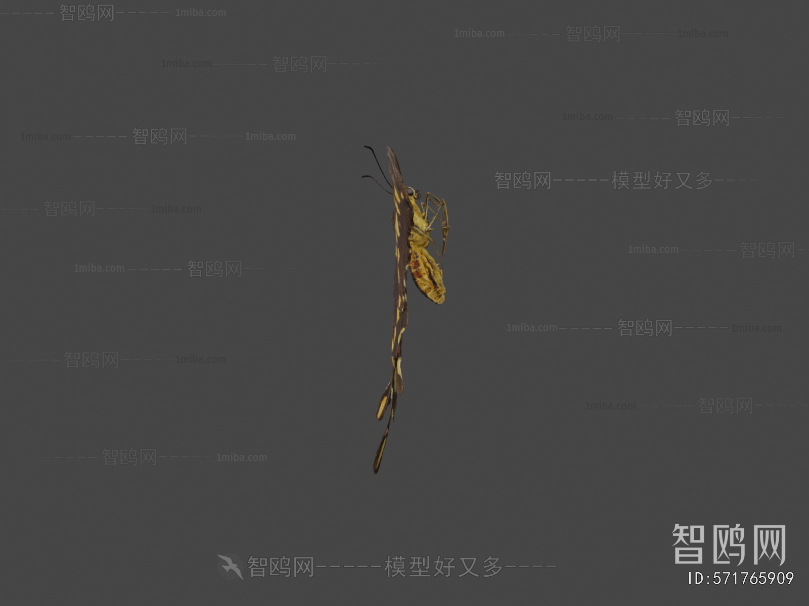 Modern Flying Animals